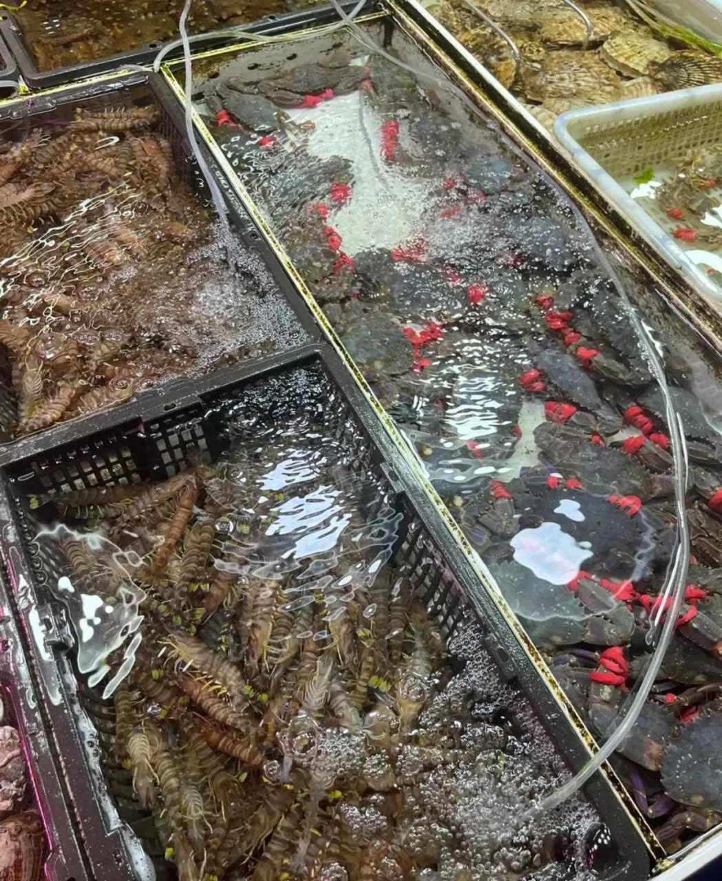 大连最大的海鲜批发市场在大连湾,辽渔水产品市场.