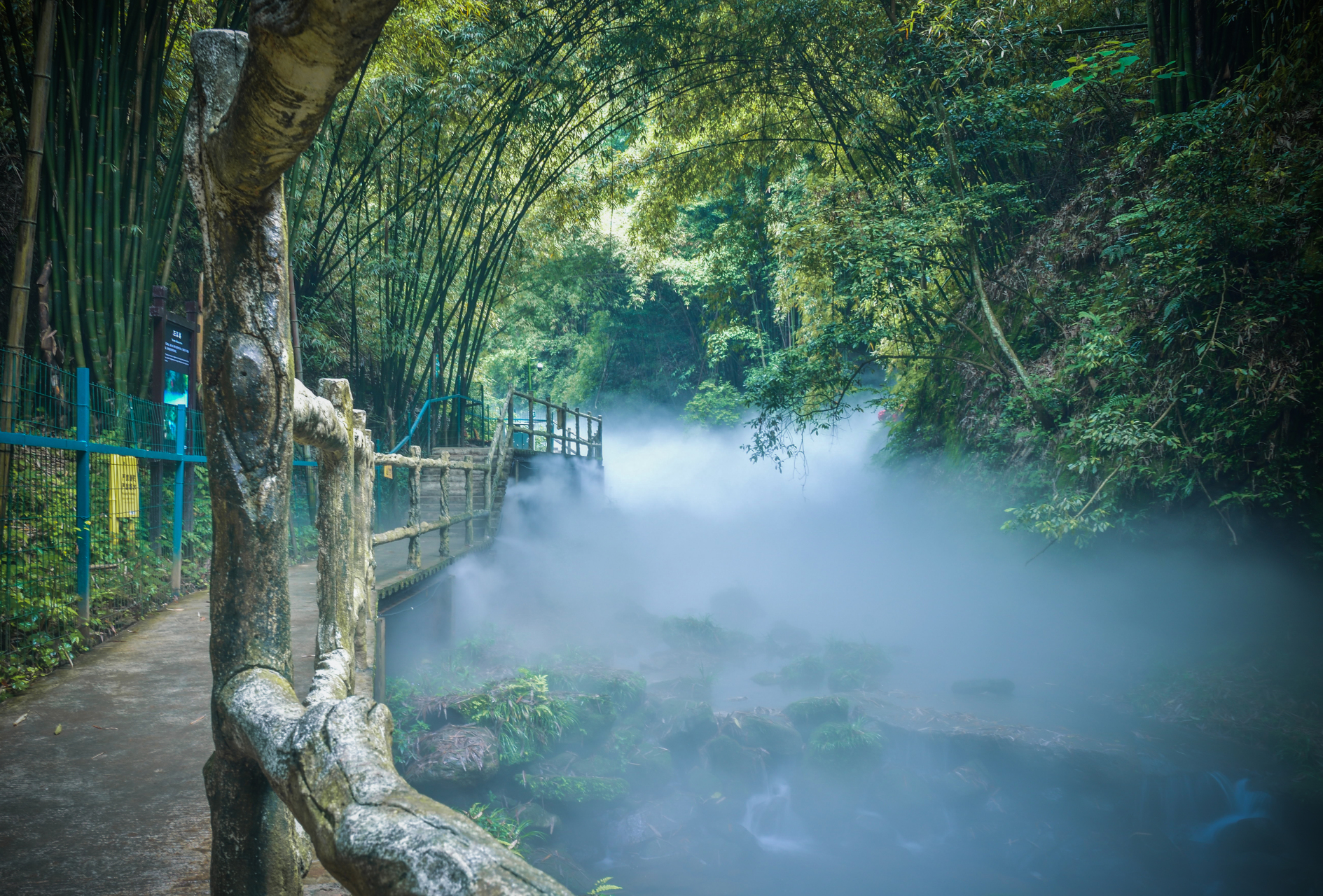 成都川西竹海景区图片