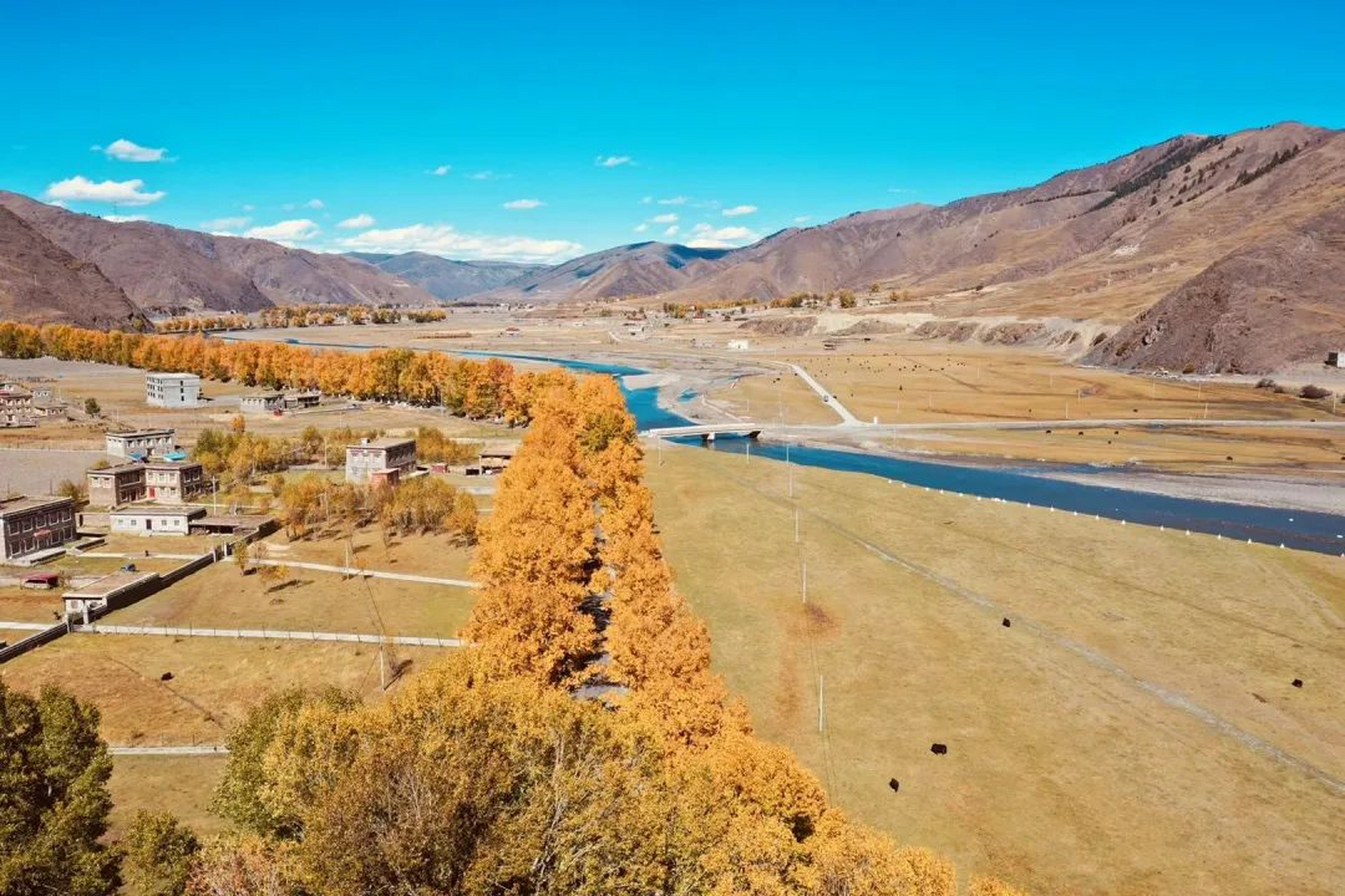 新都桥:摄影家的天堂,诗意秋景无与伦比  新都桥,位于四川省甘孜藏族