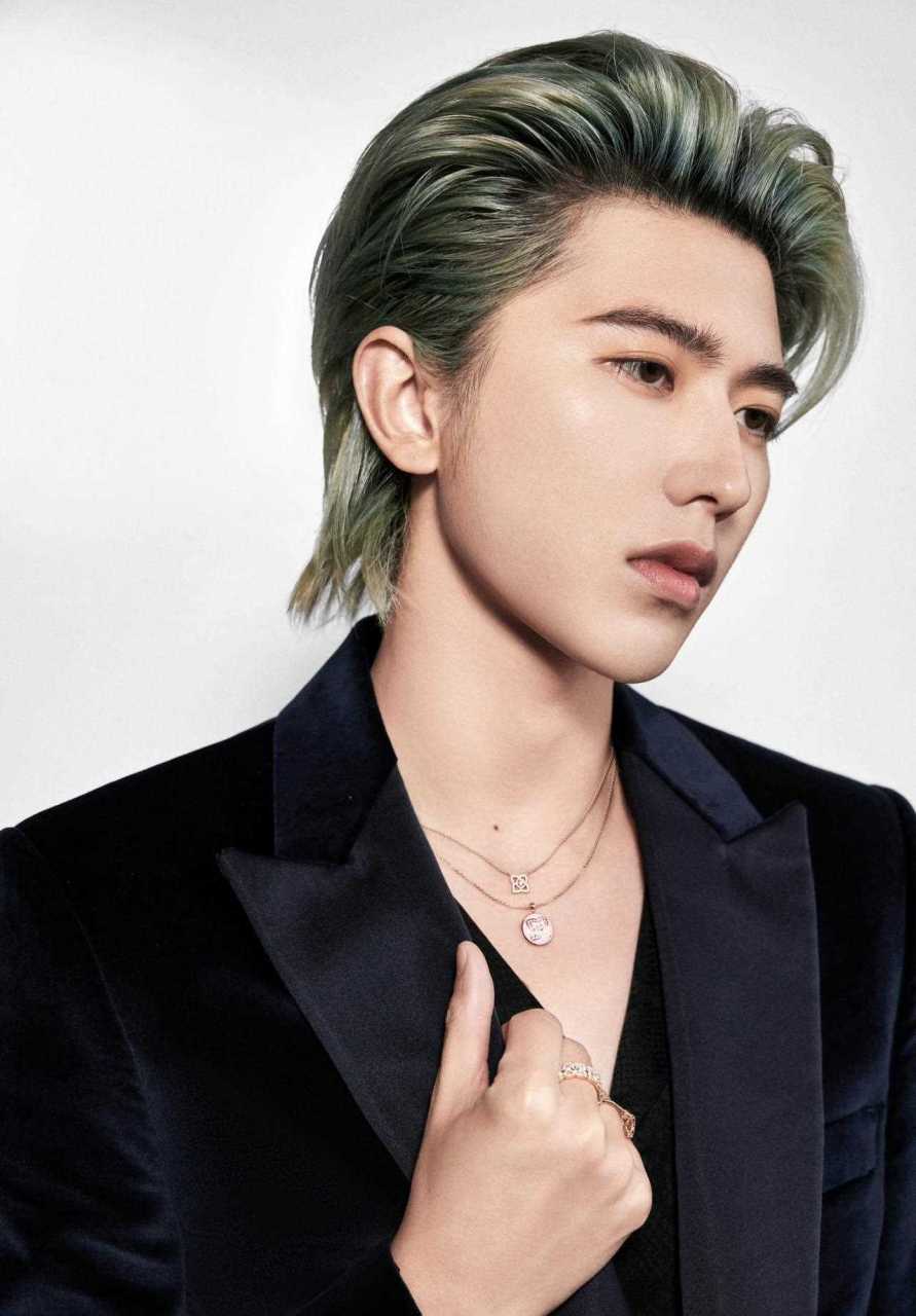 坤坤,越来越帅了,大背头梳的帅气![再见]