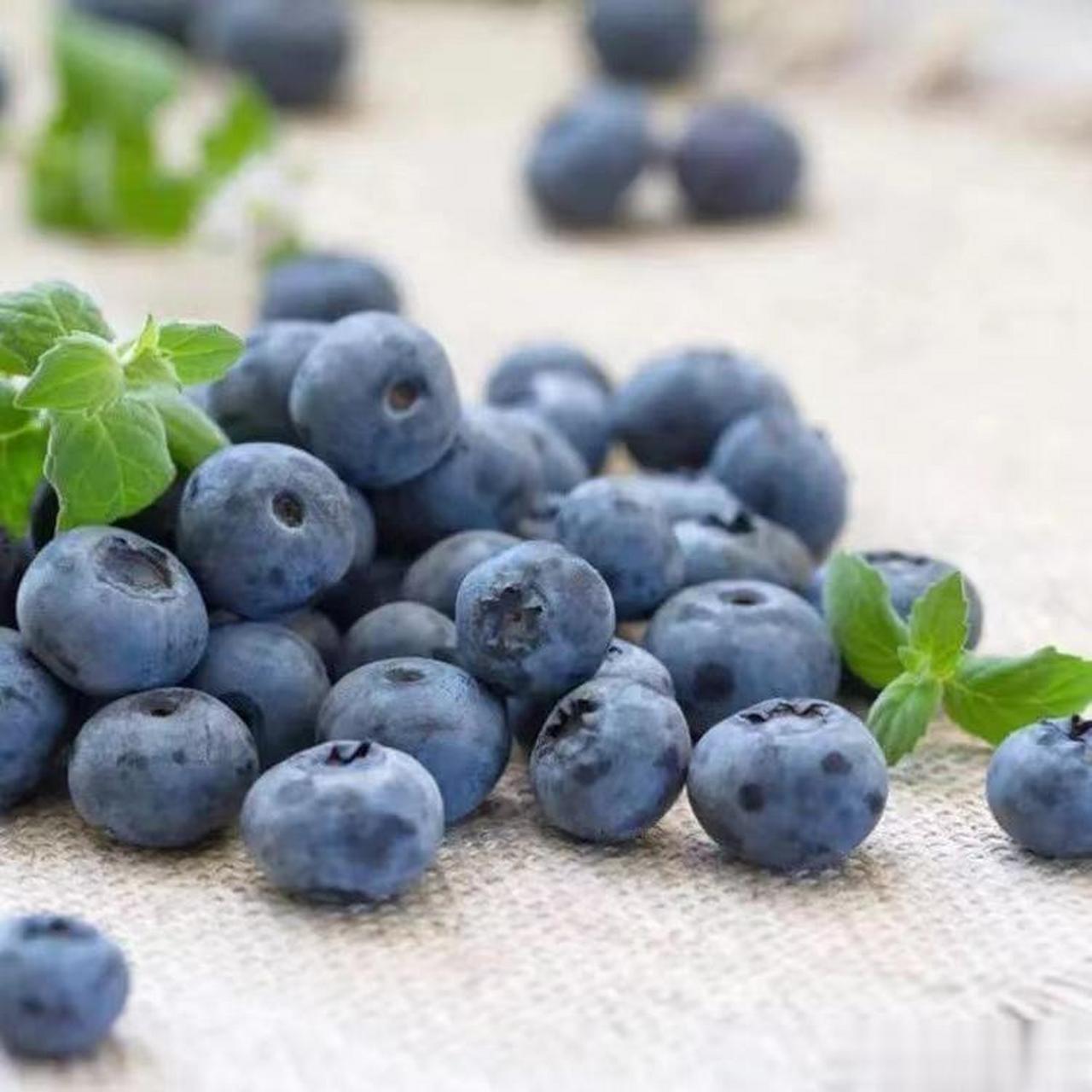 大妈的精选# 『【安徽怀宁蓝莓顺丰空运露天新鲜采摘颗粒饱满香甜多