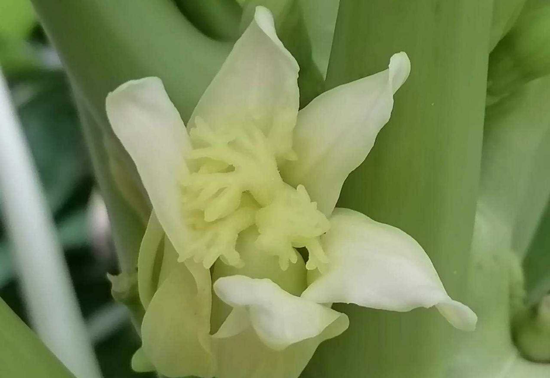 阴阳平衡万事和, 一步行错步步错.