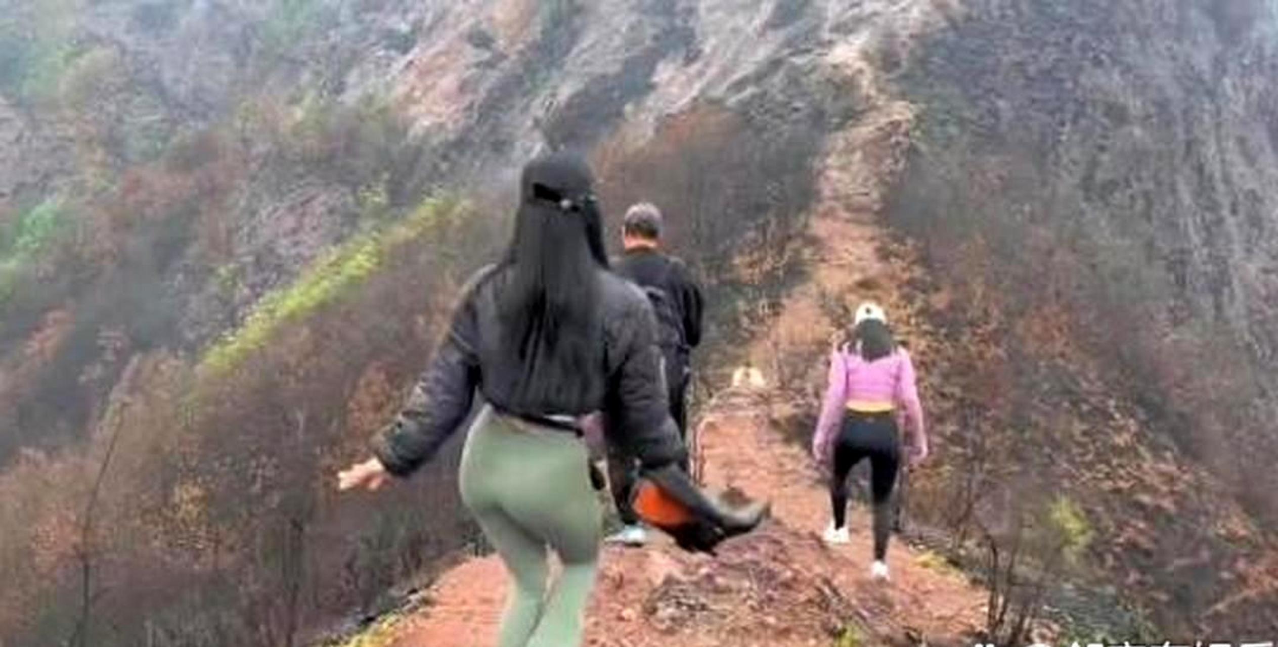 为什么公司团建爬山时,女同事都喜欢穿鲨鱼裤?