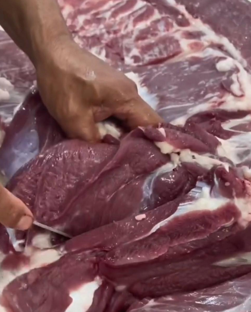 这是老母猪肉吗?母猪肉是不是不好吃?