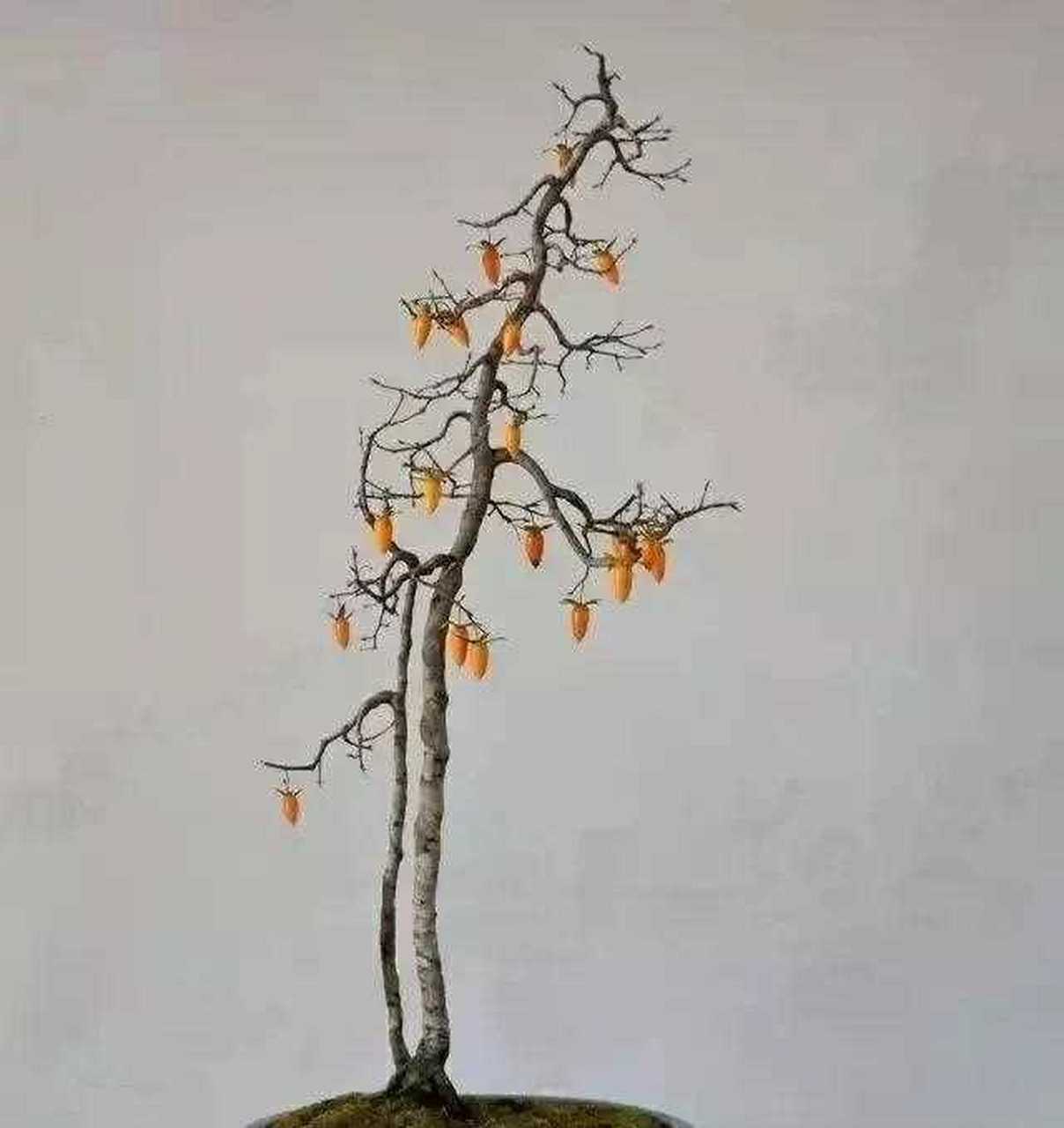 文人风骨 飘逸自然  赵庆泉大师盆景佳作欣赏