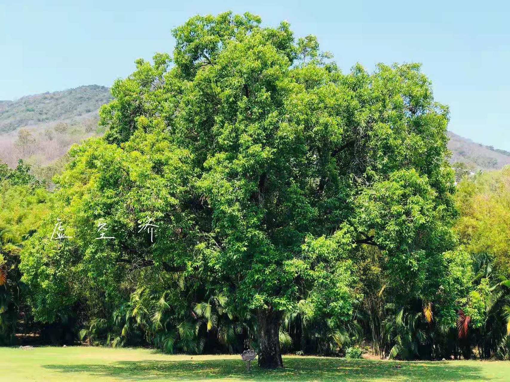 虚空先生:修到极致,我们就可以陪孩子玩闹.