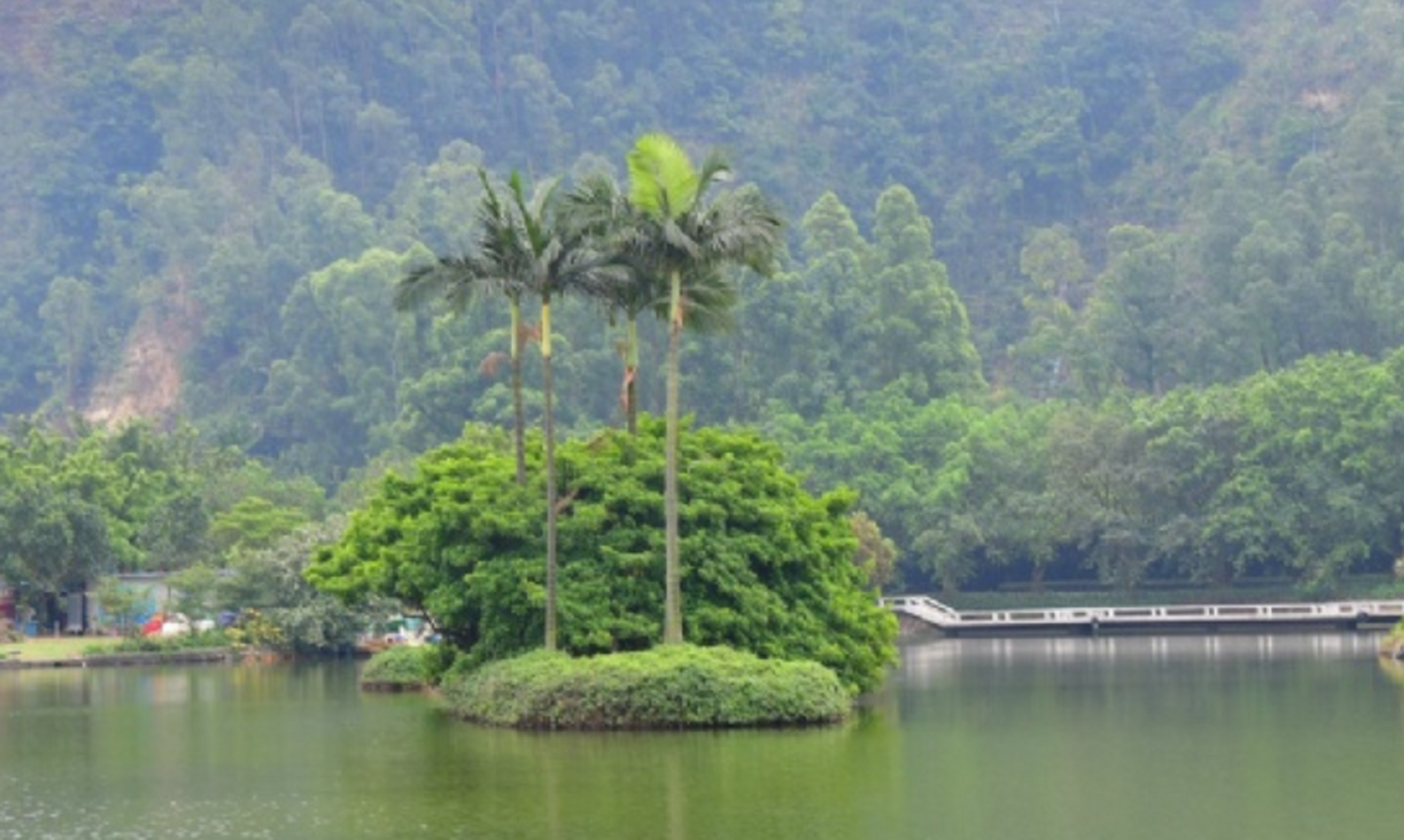 在广州南沙有个一个免费的观赏园,叫蒲州花园.