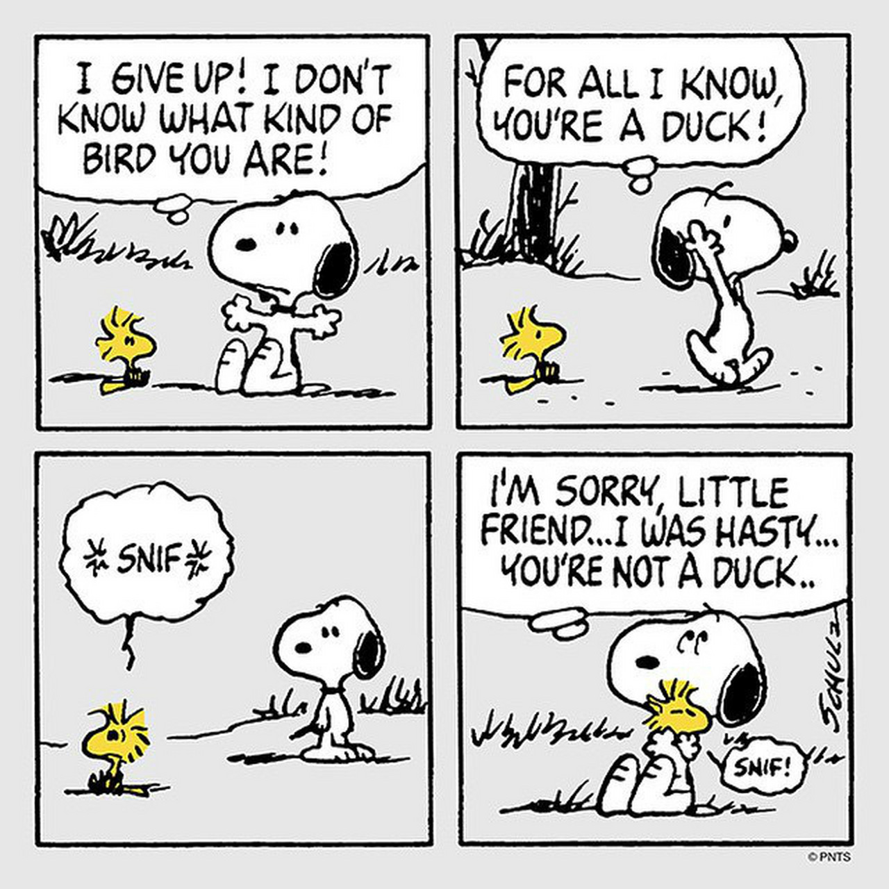 史努比旁边的黄色小鸟名字叫"糊涂塌客",作者在1970年6月22日才帮它