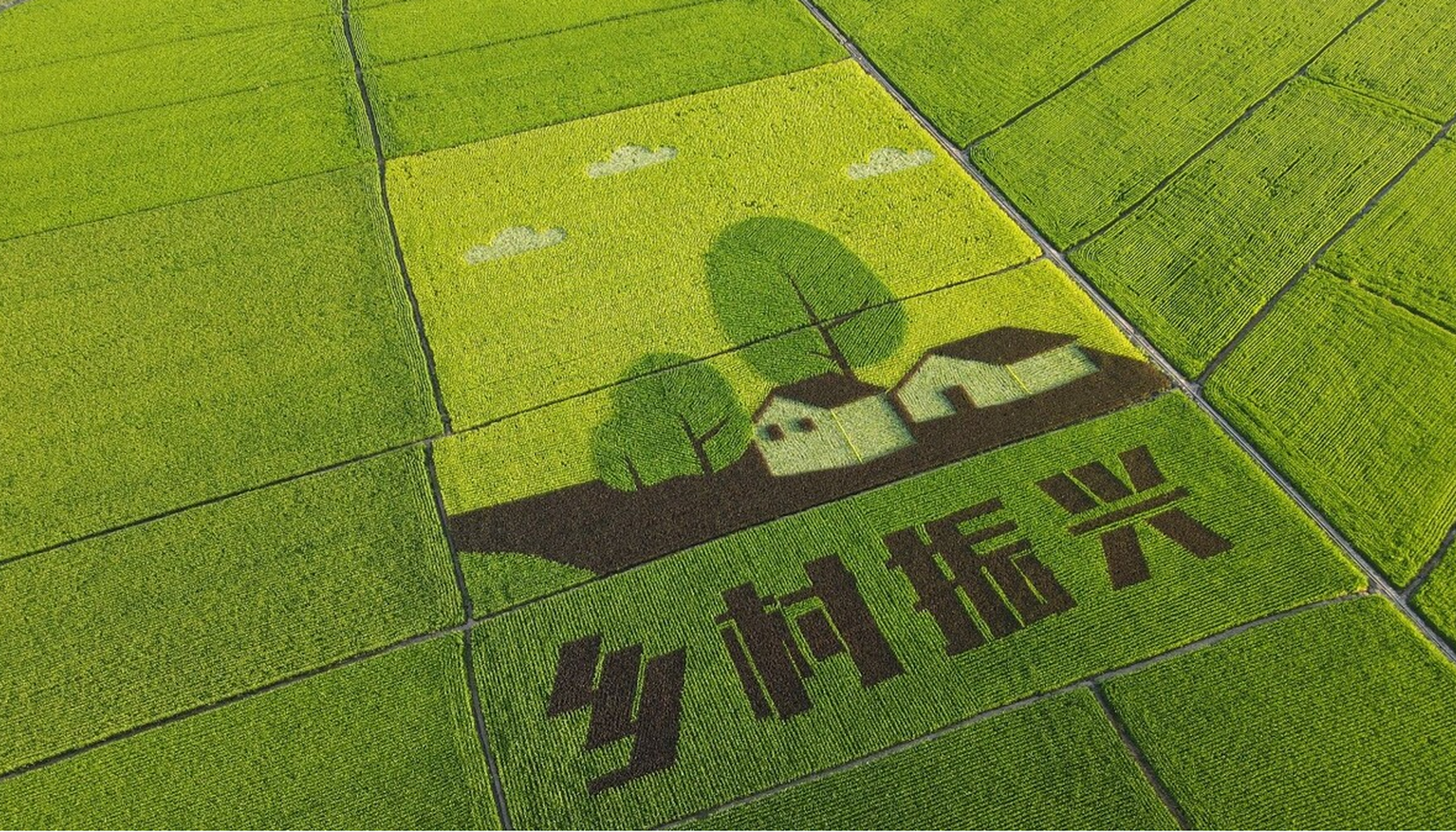 【乡村振兴背景下,高标准农田建设策略有哪些?