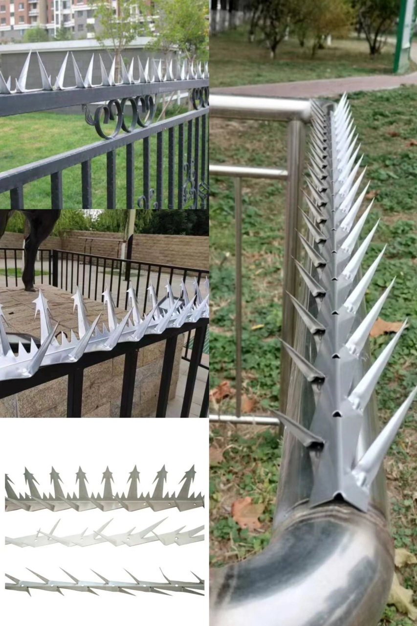 这款防爬刺简直太完美了!