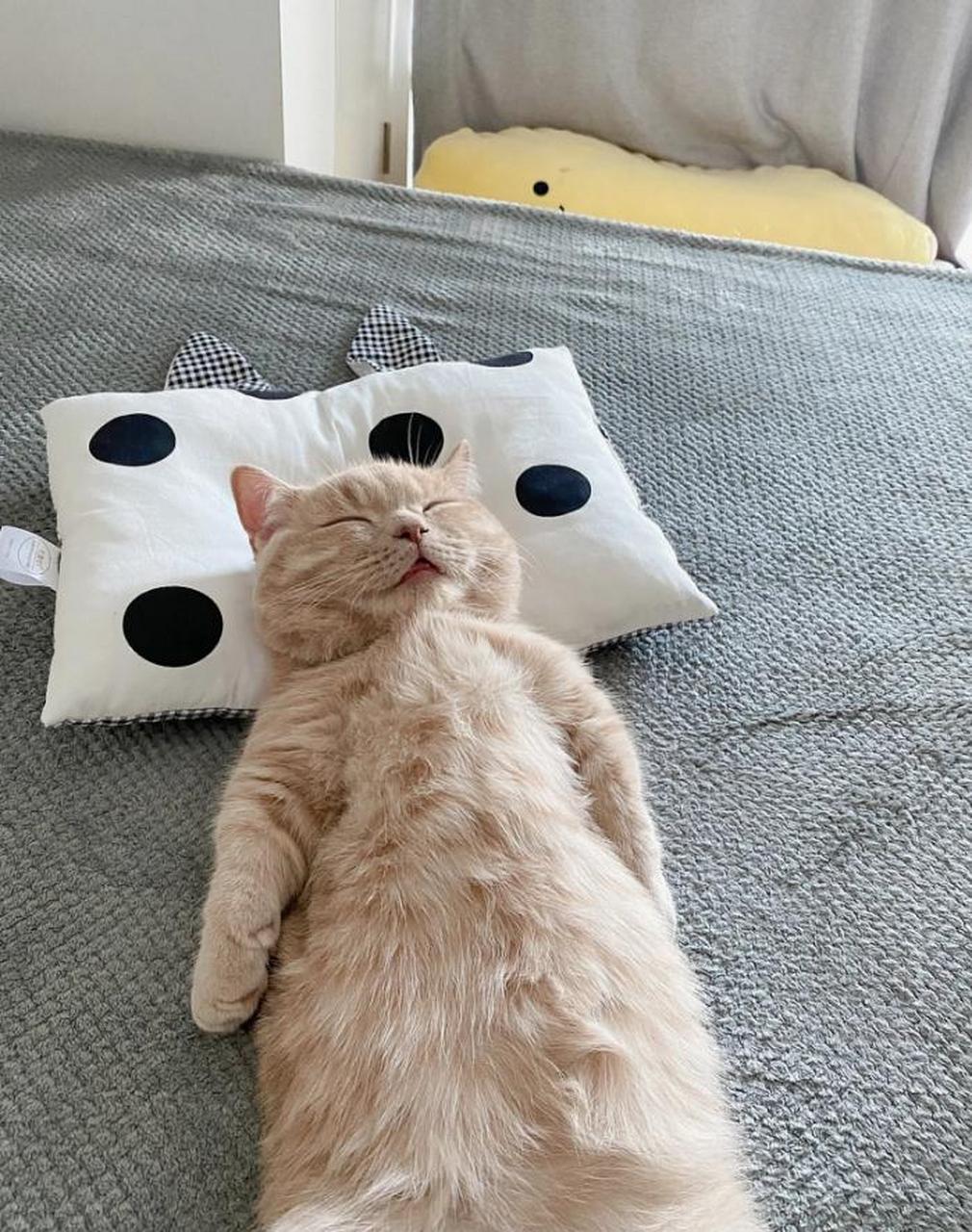 没事就晒太阳 太阳是天然的阳气来源,多晒太阳能调理脏腑气血,培补