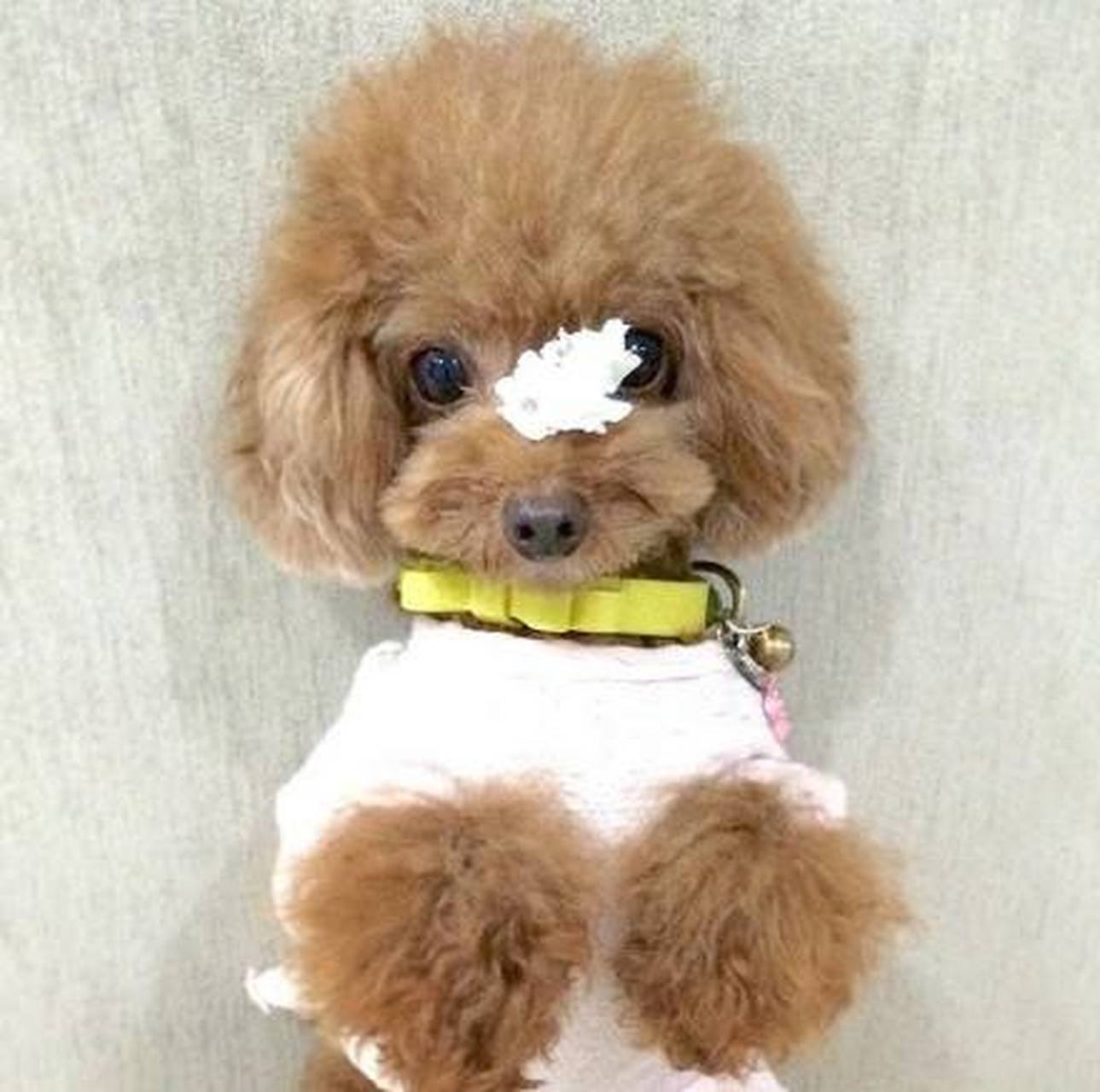 这音乐明明是黑 人抬