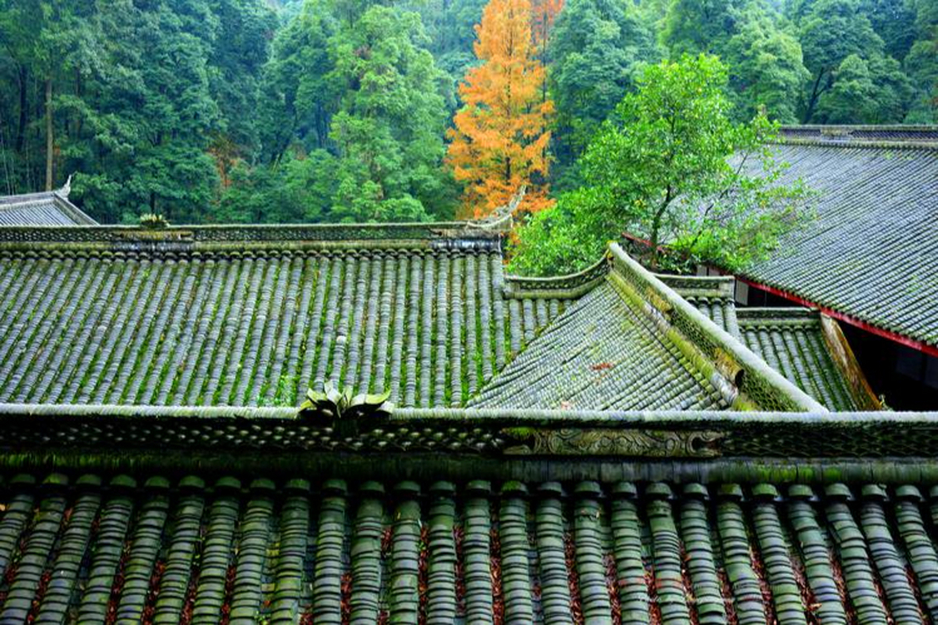 成都崇州凤栖山,因山石的形状酷似凤头而得名,自古就有藏龙栖凤之称