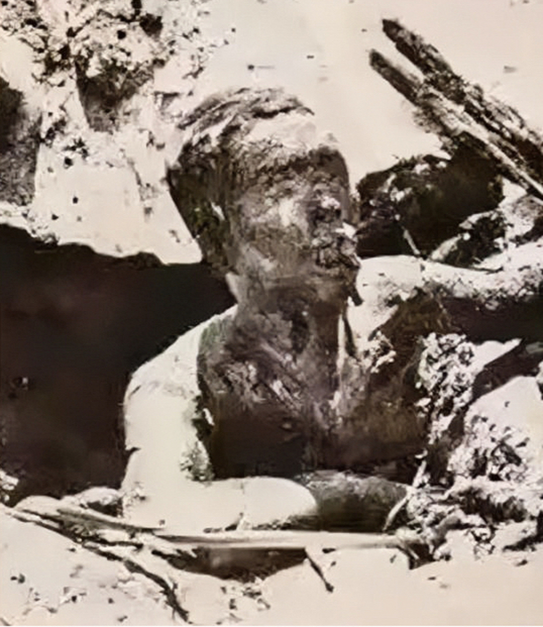 1945年,硫磺岛战役中,日军被美军的喷火器烧死.