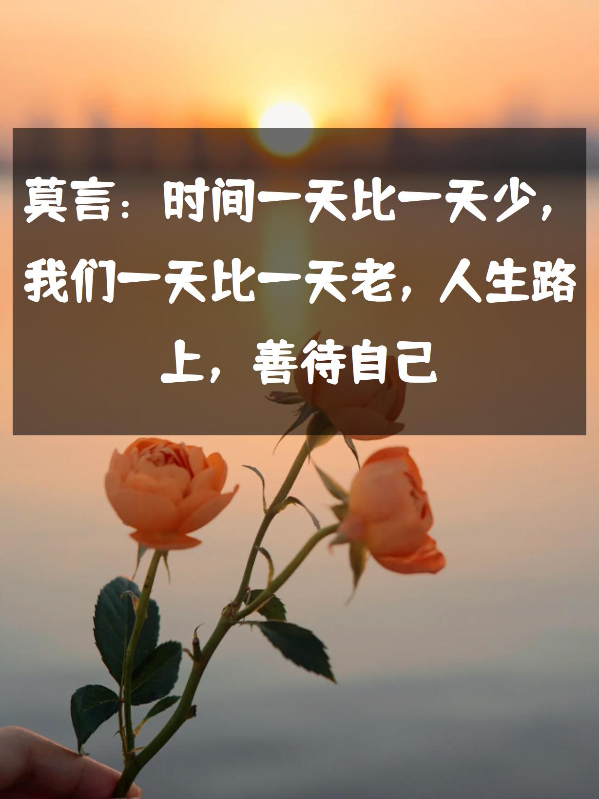 一位享誉世界文坛的作家,他的文字深深触动了人们内心深处的柔软之处