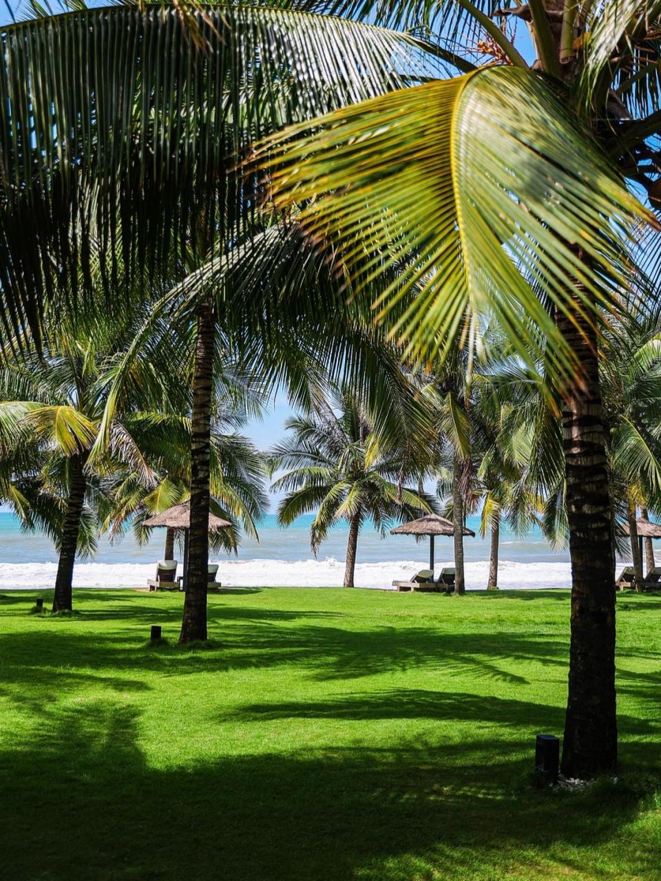 这片椰林沙滩我真的爱了 终于去了我超爱的椰林沙滩!