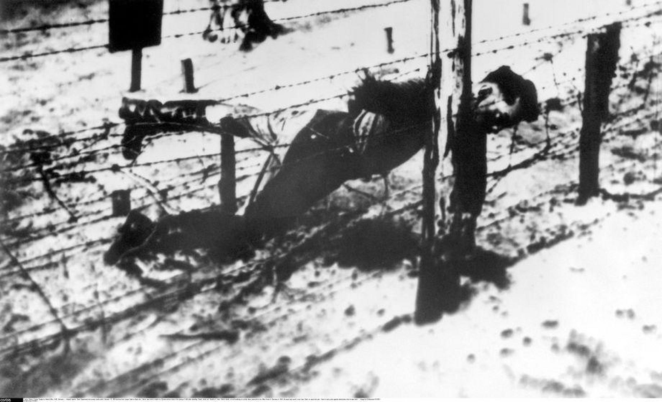 1943年4月,约瑟夫·斯大林的儿子雅科夫·朱加什维利,在纳粹德国的