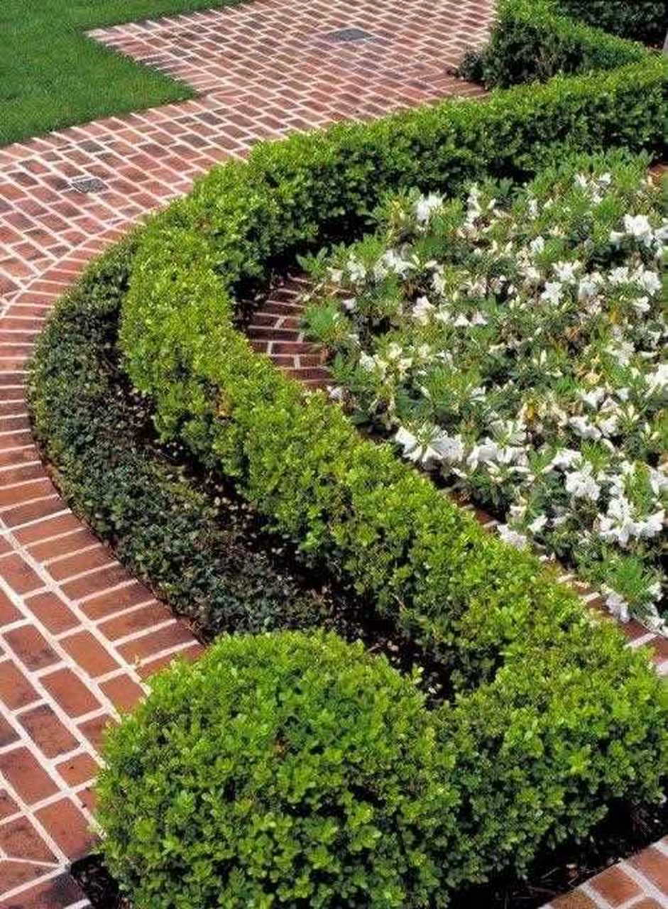 实用又不过时的院子布局,用绿植围成各种式样的花坛!