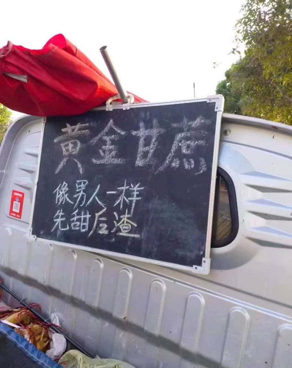 金黄的甘蔗,就像男人一样,先甜后渣[三哈][大哈]