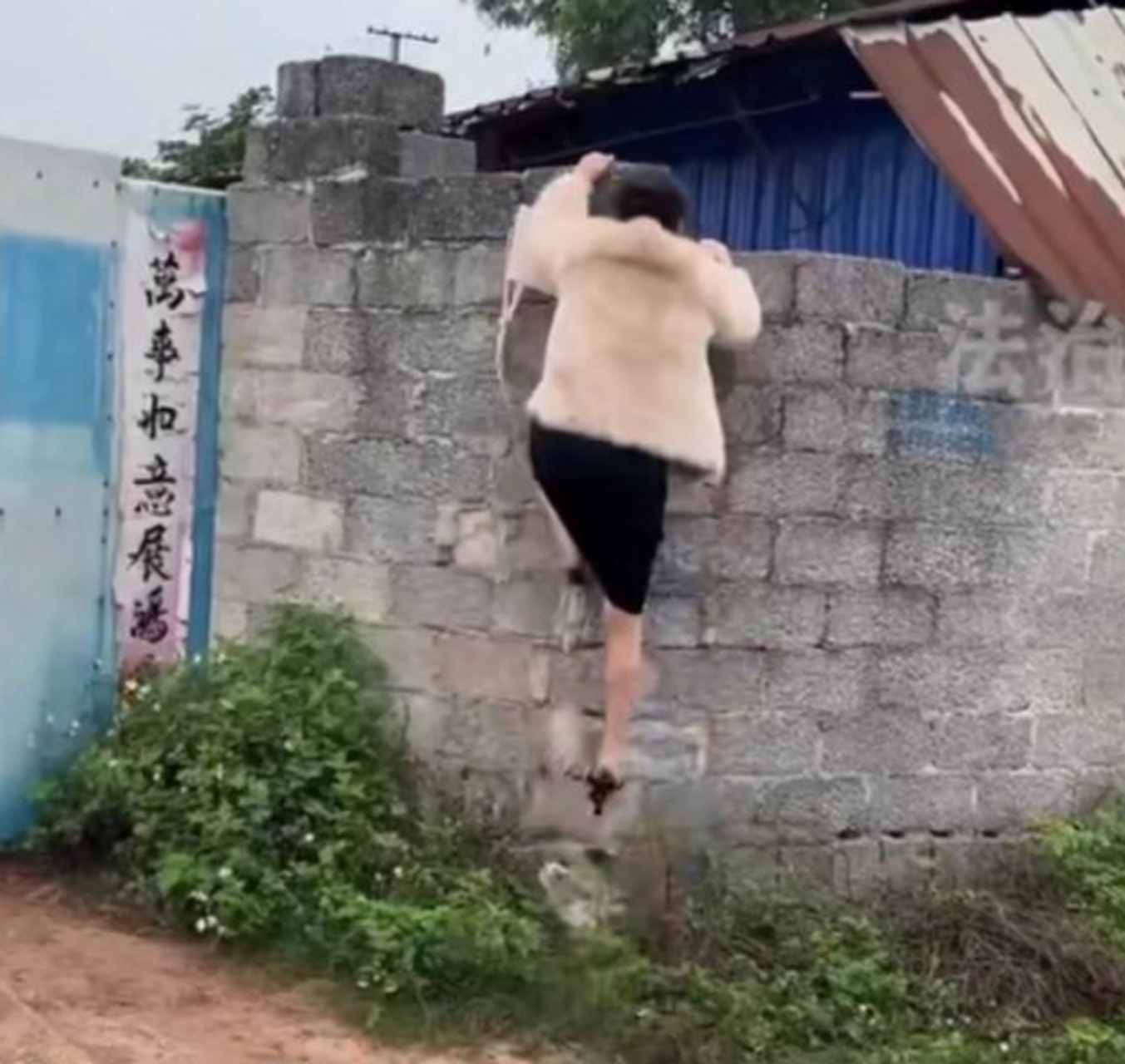 网友:一女子穿包臀裙和高跟鞋爬围墙,动作一气呵成!