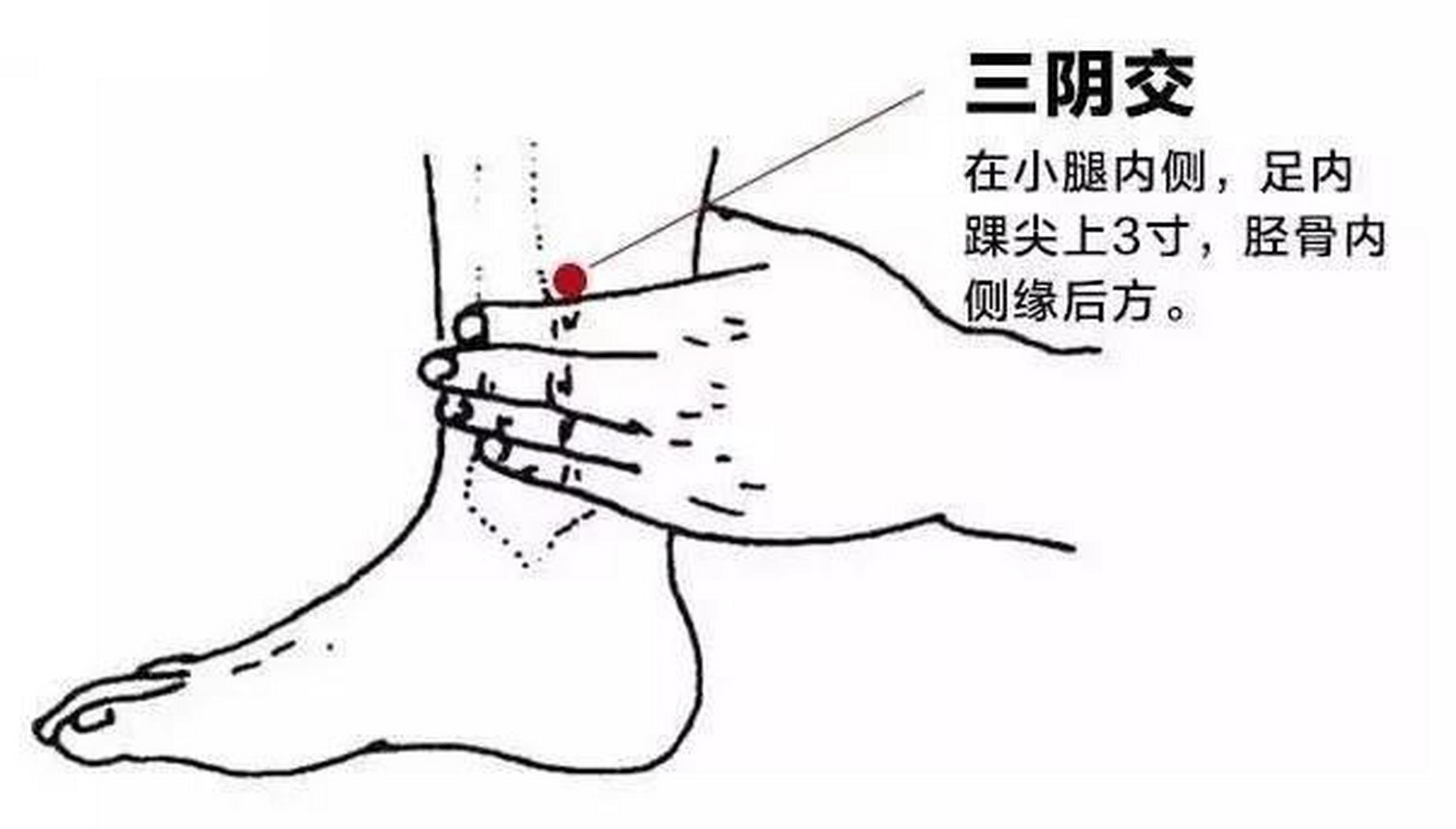 健康养生[鲜花【养生穴位之三阴交穴[鲜花]三阴,足三阴经也.