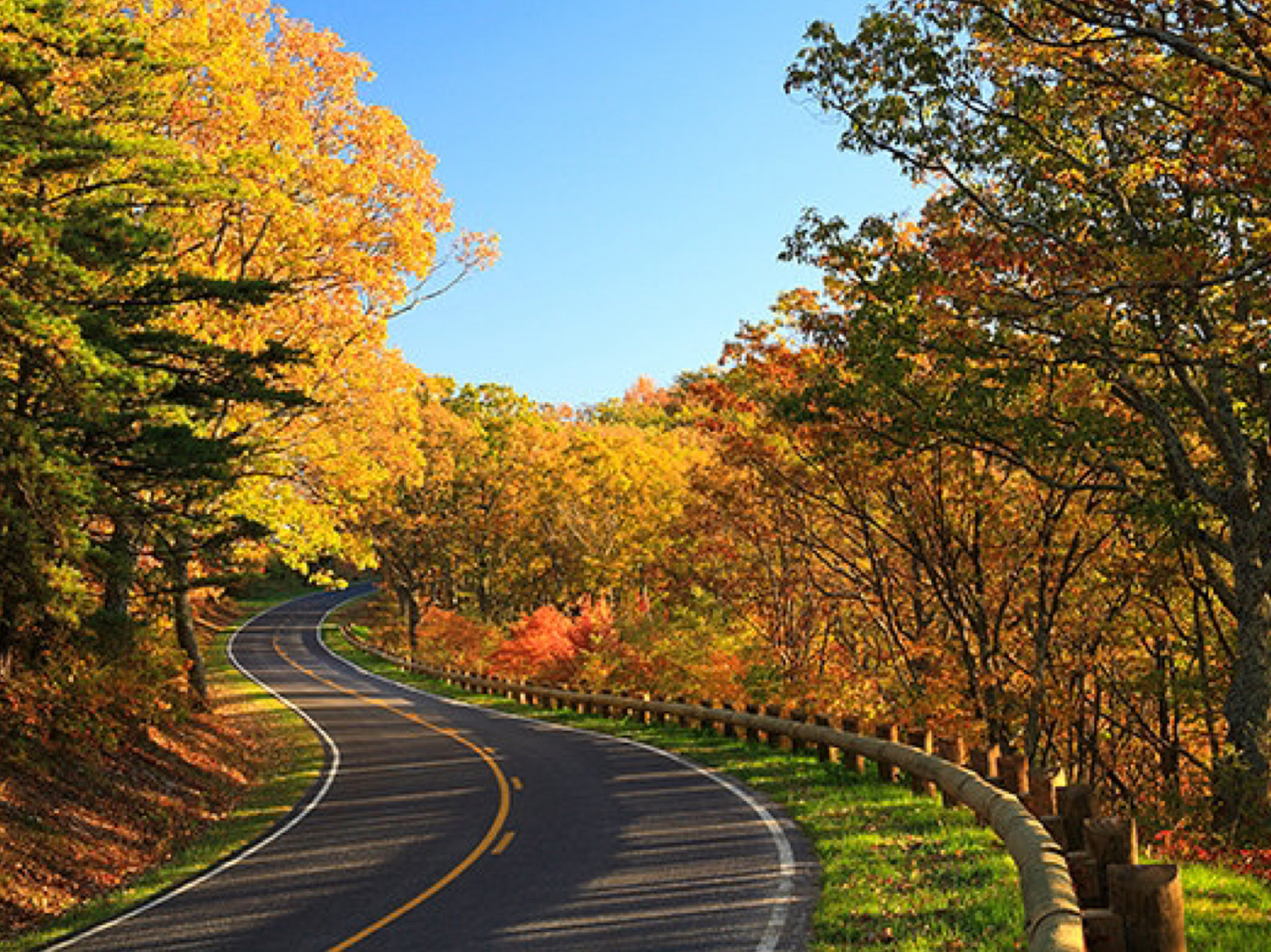 仙那度国家公园(shenandoah national park) 门票:一车的门票费用为20
