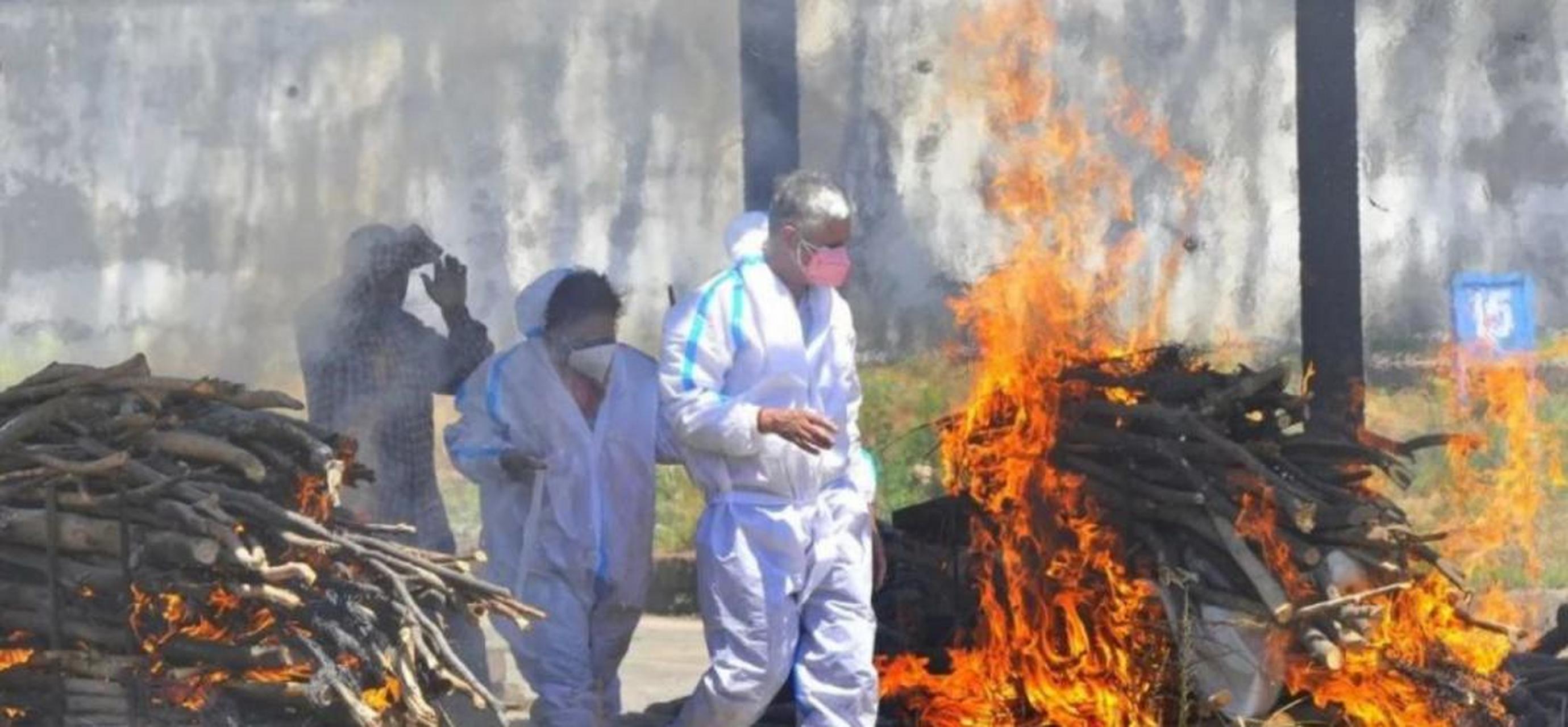 骨灰,生活废水,超级细菌!