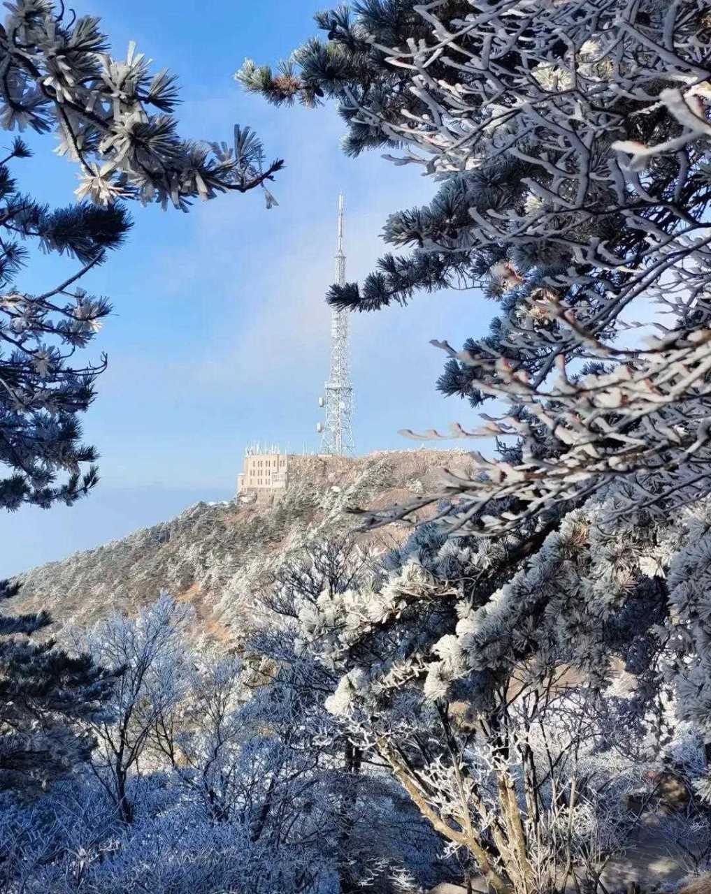 四季黄山 相约冬天 黄山四季之美,美在山水之灵.