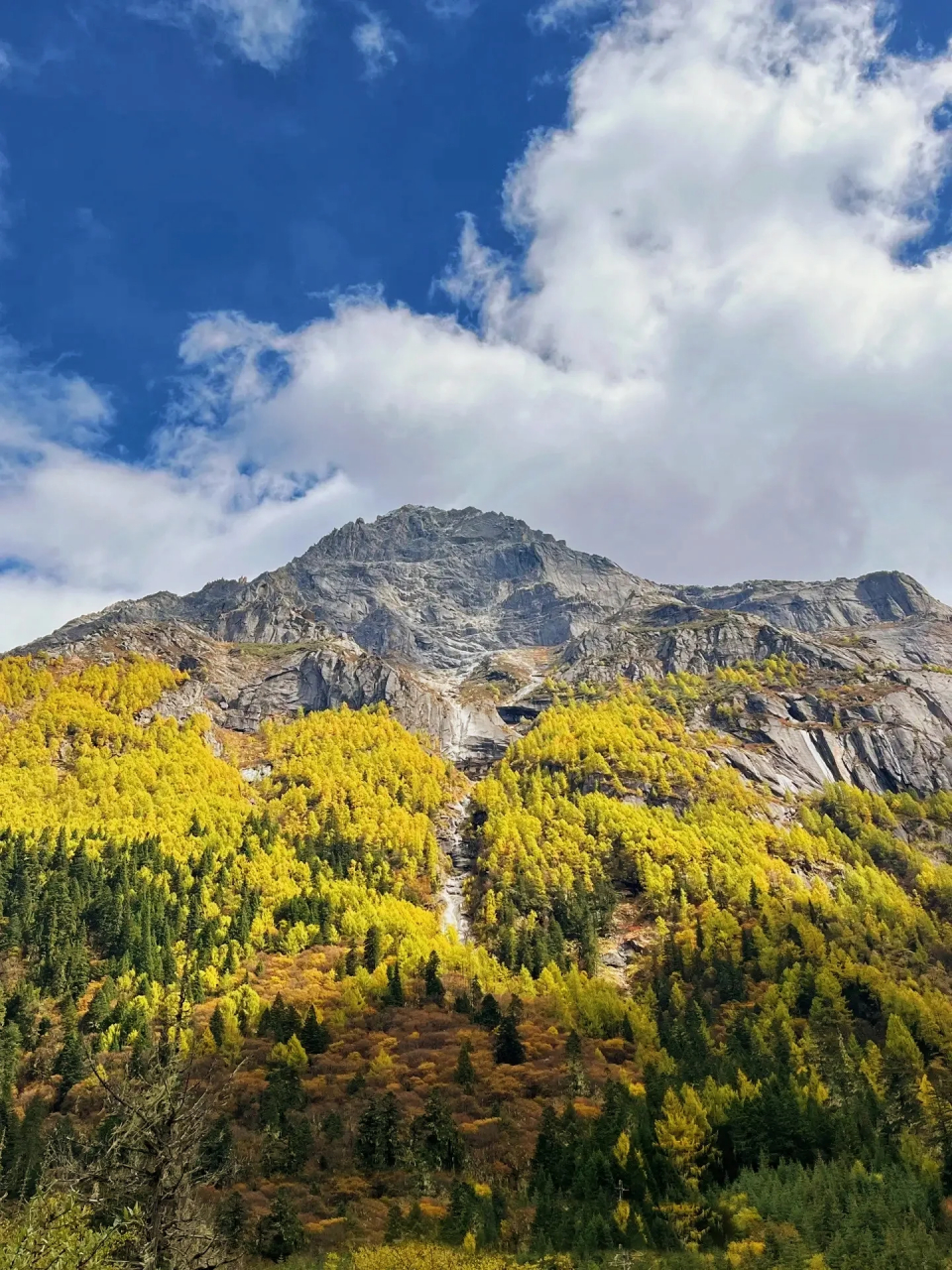 不是瑞士,是四姑娘山双桥沟  阿坝四姑娘山 海拔:3000左右 最佳游玩