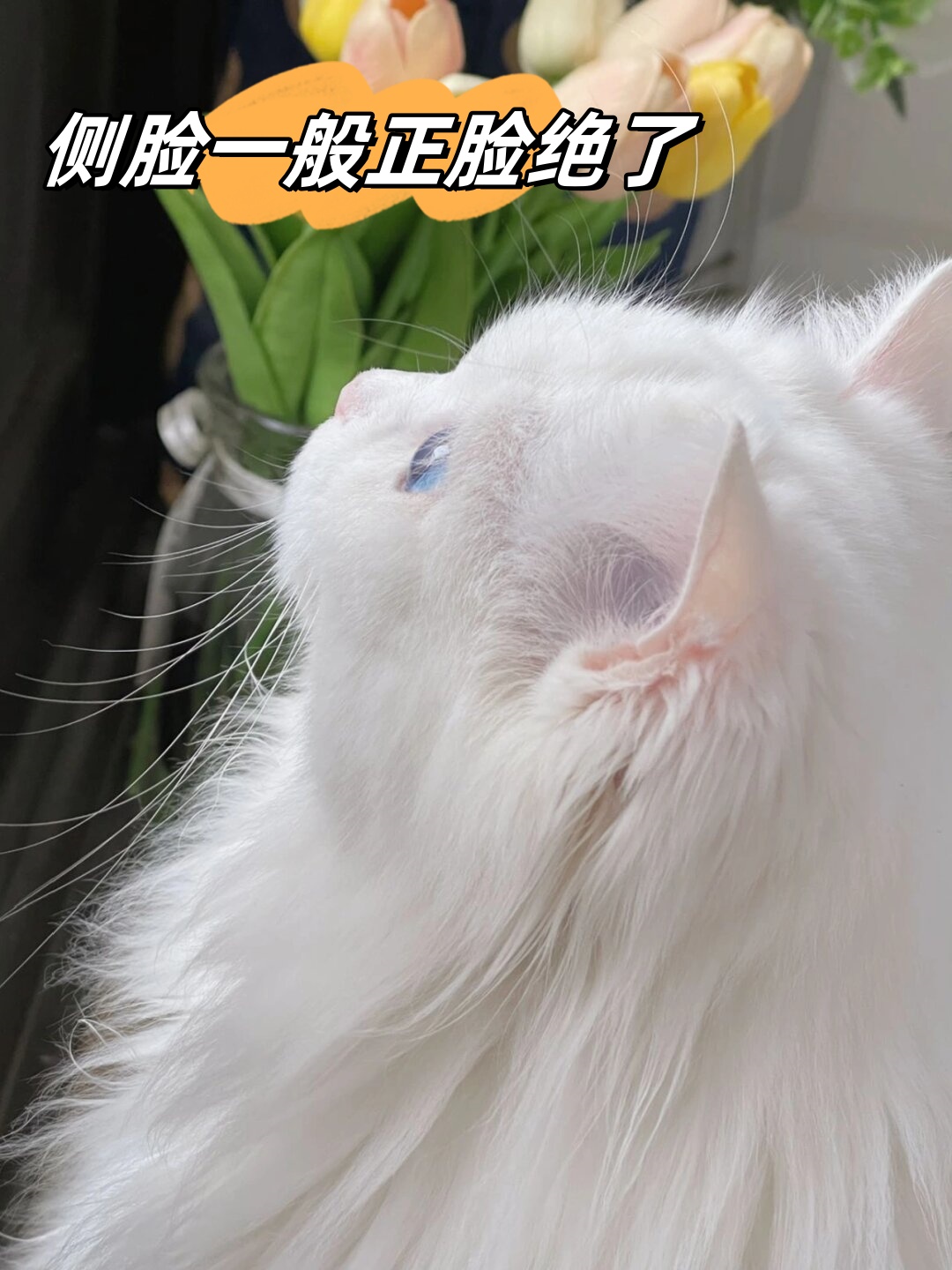 侧脸一般正脸绝了