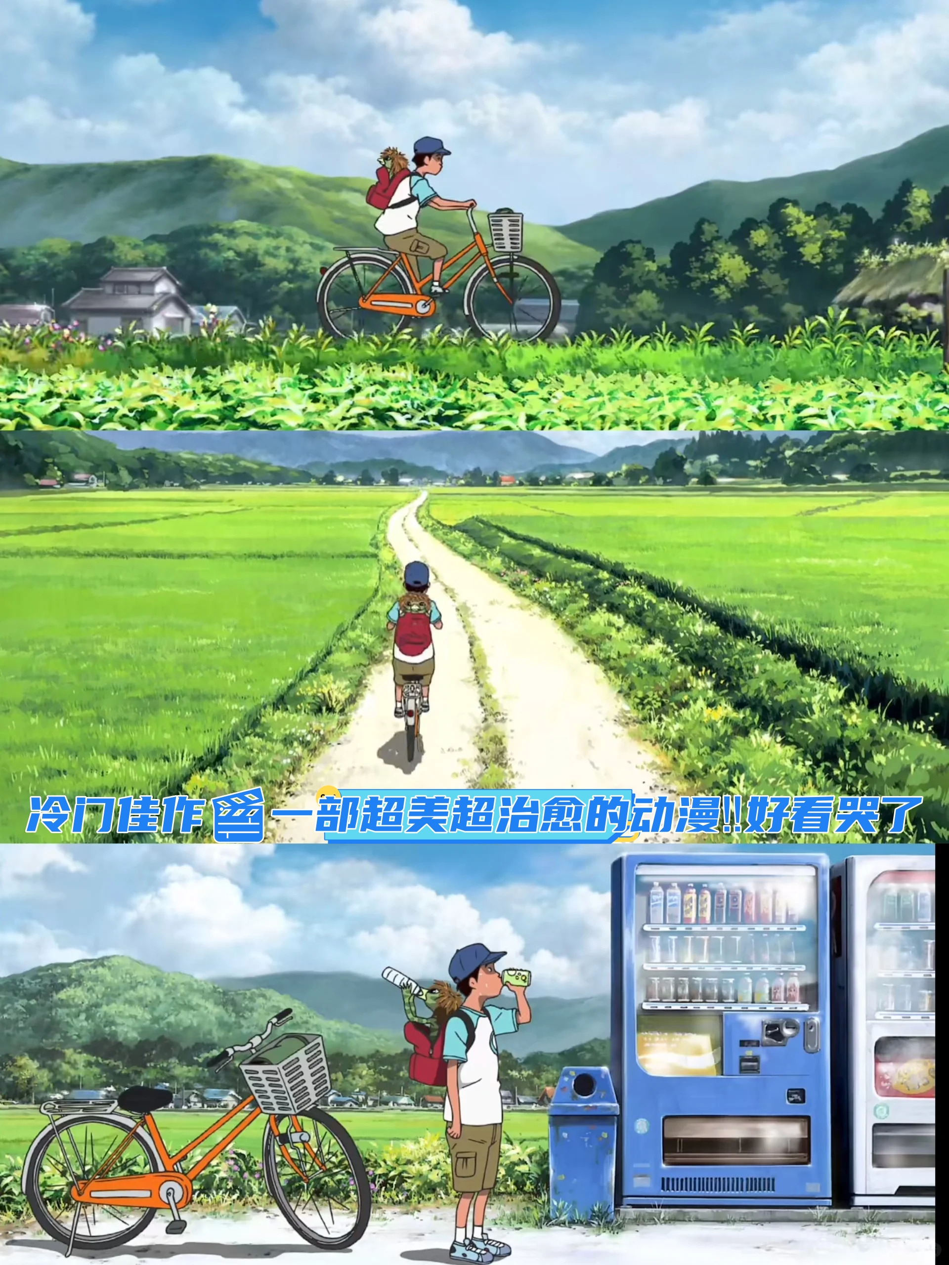 冷门佳作一部超美超治愈的动漫好看哭了