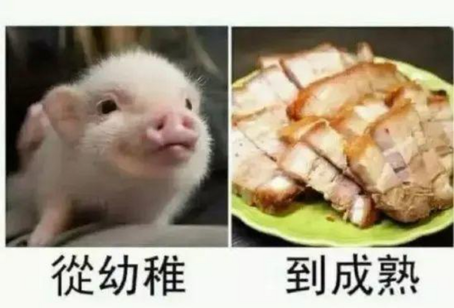 既成熟又幼稚