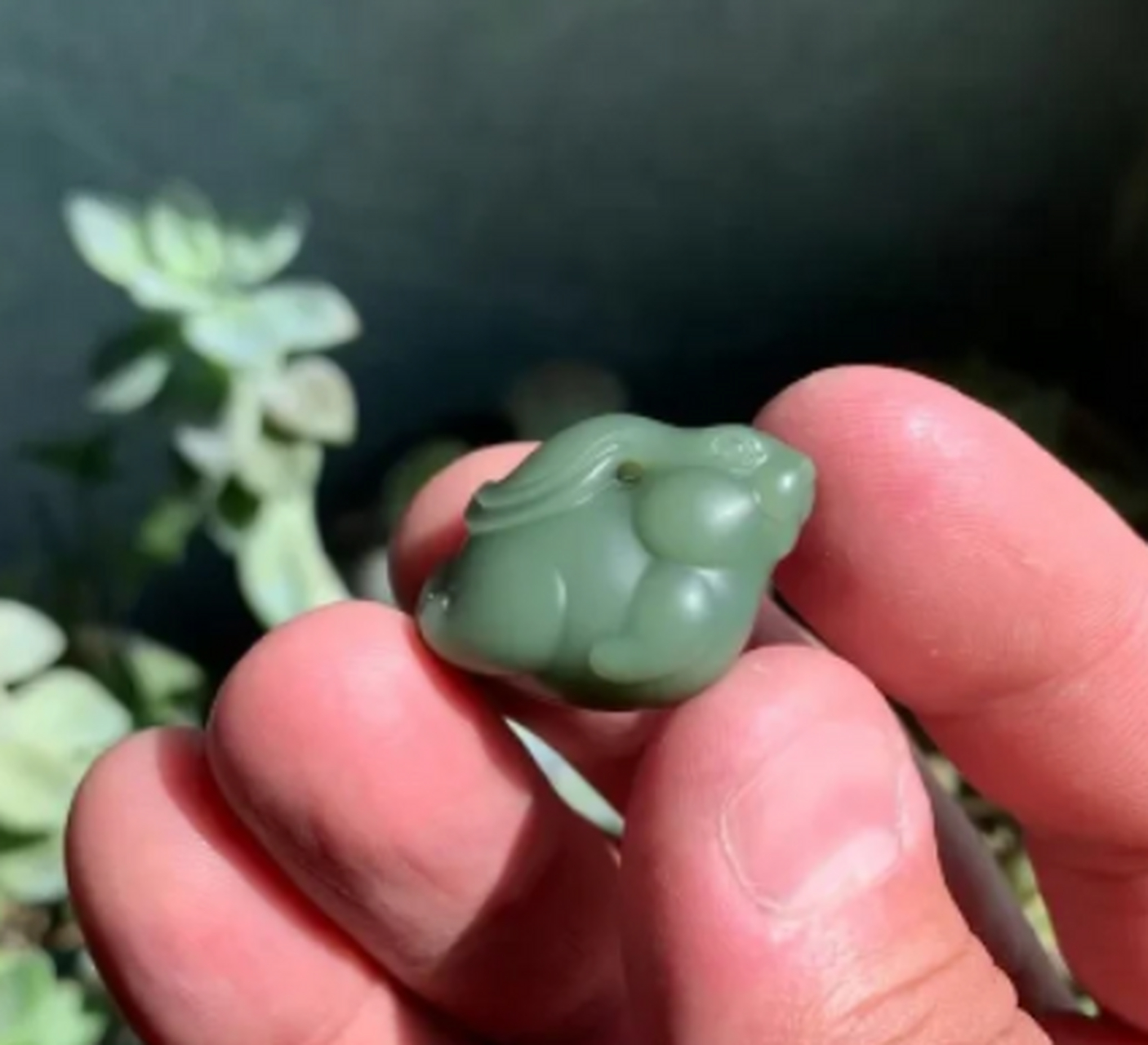 点击头像看直播##和田玉#非常可爱的一只小兔兔料子的话不用说,到顶