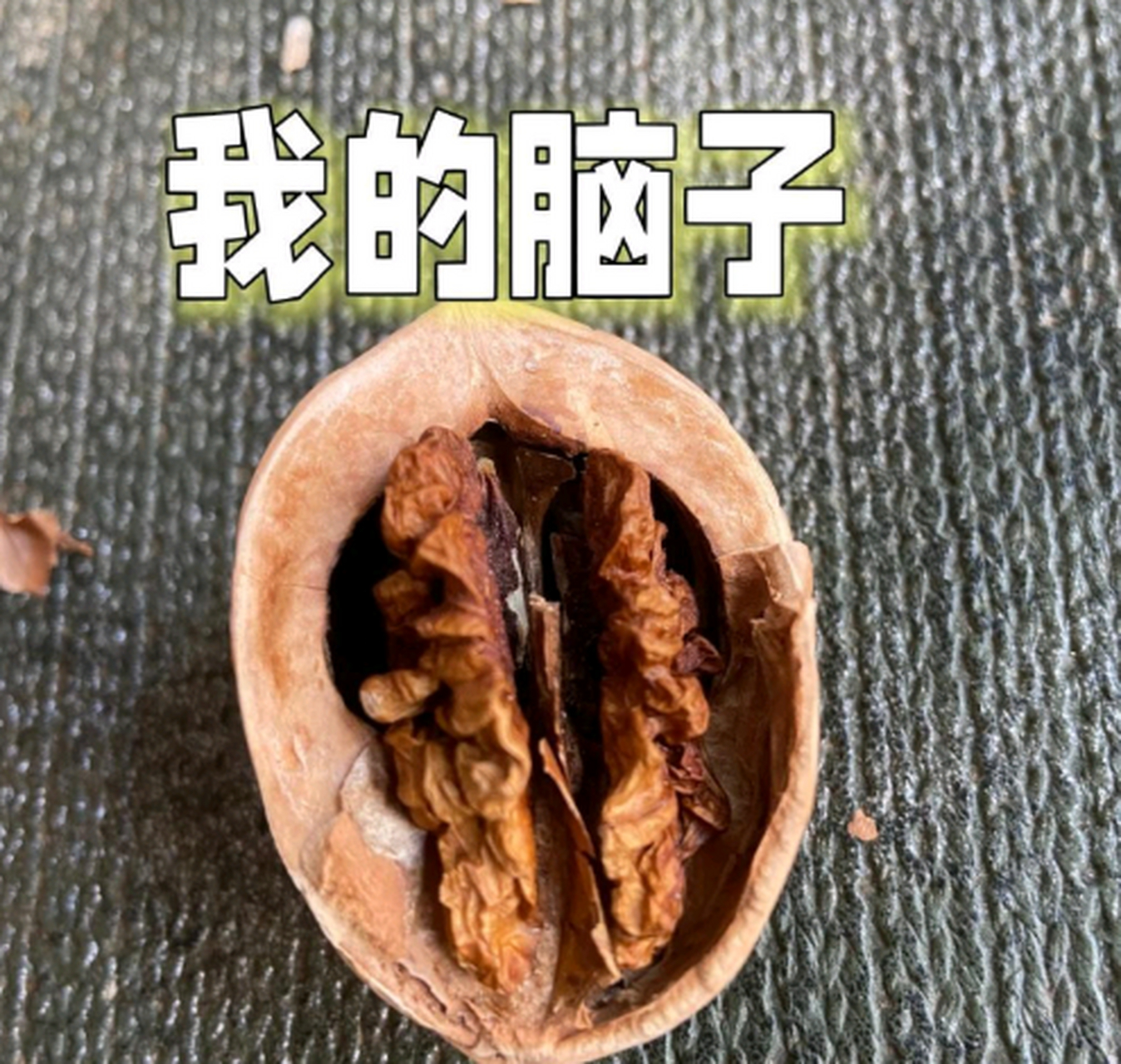头好痒,好像要长脑子了