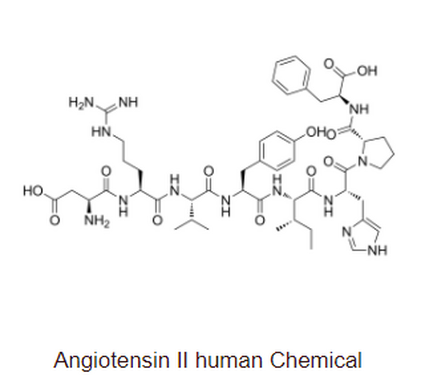 angiotensin ii (angiotensin ii)血管紧张素Ⅱ是一种血管收缩剂,是