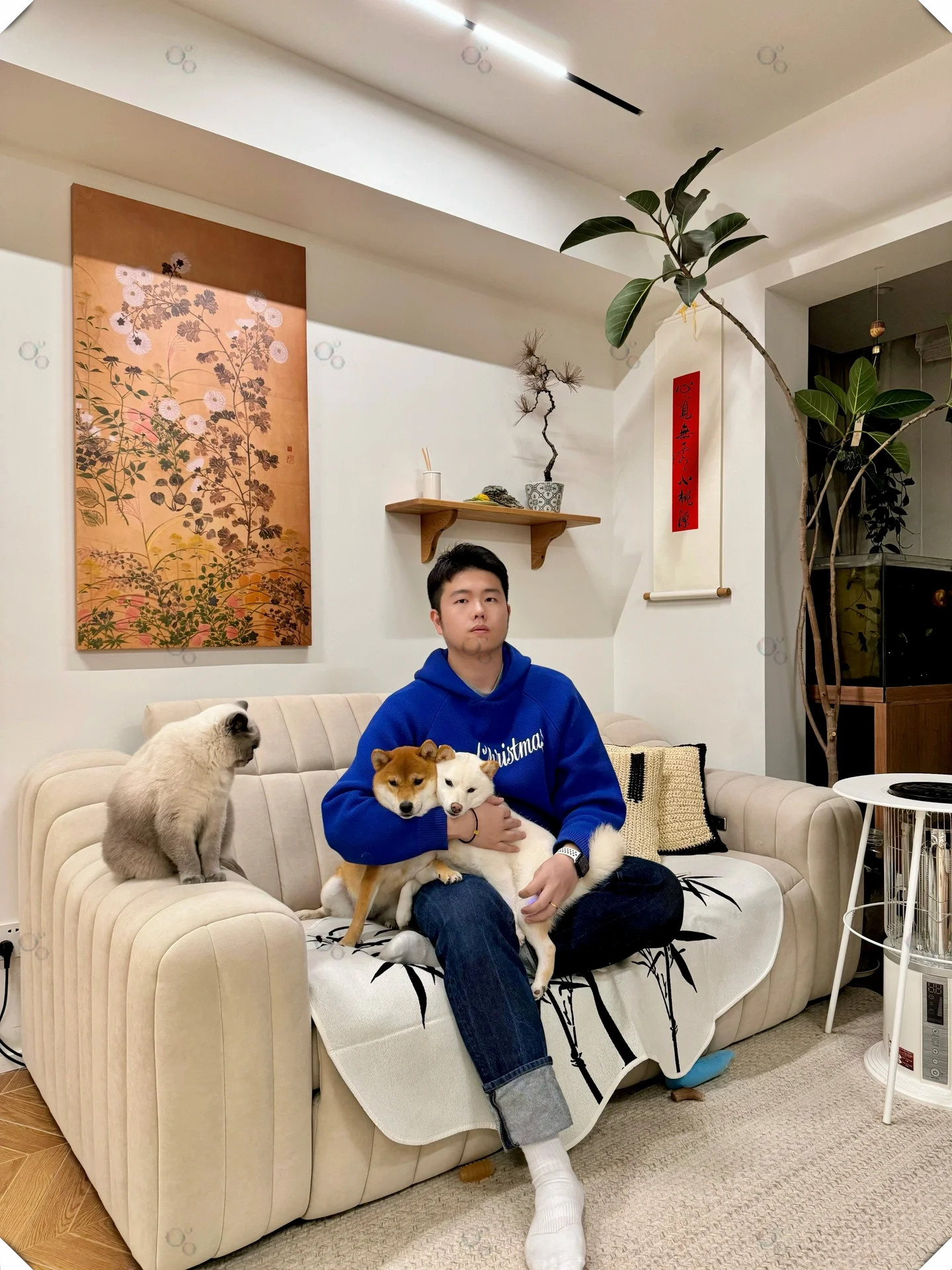 家,是温暖的港湾,也是不断折腾的乐园