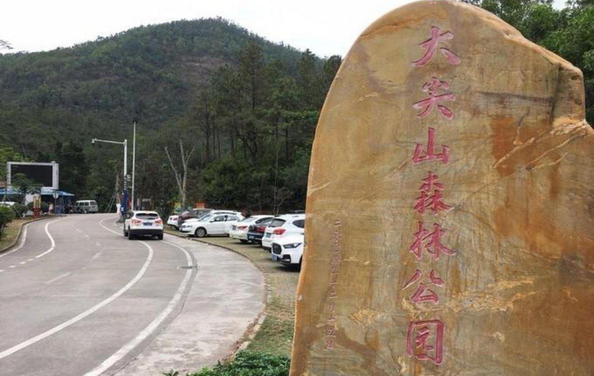 登大尖山有两条路线,一条从石鼓北坑口起步,较宽,较陡,有石阶.
