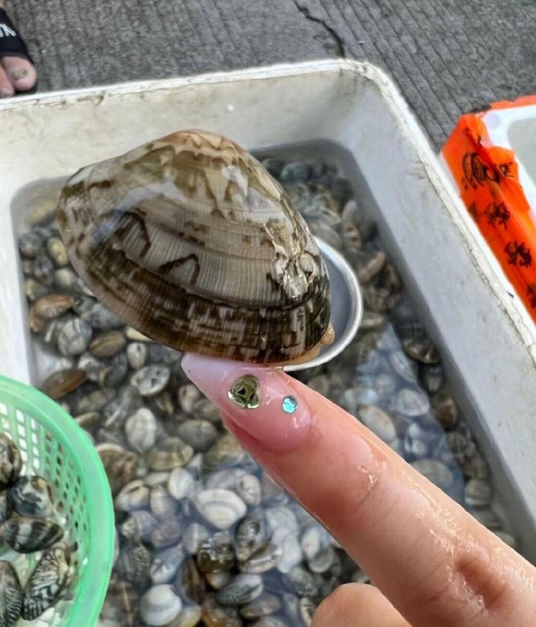 购买花钉时要小心