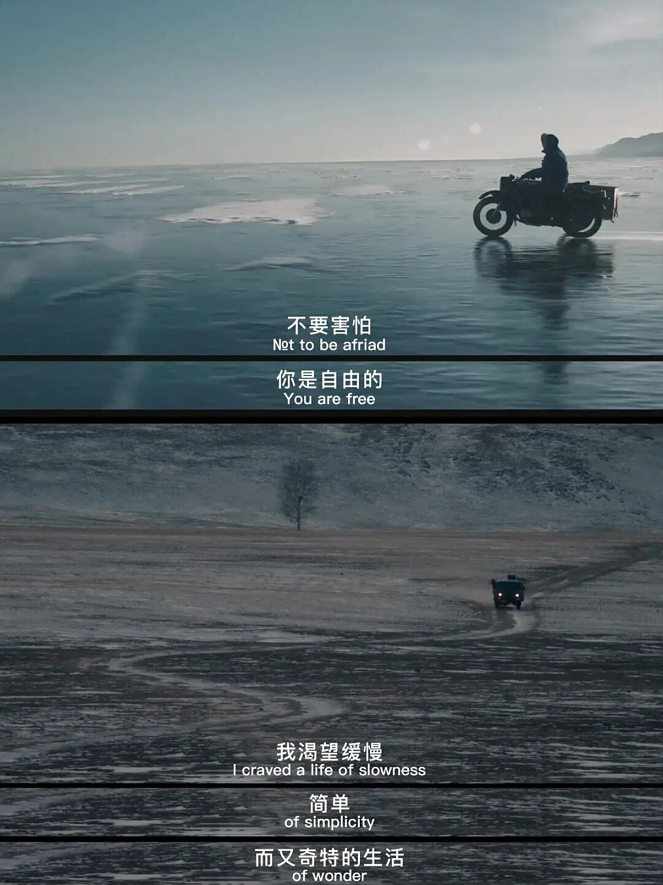 电影台词《在西伯利亚森林中》  适合一个人看的电影,可以提供孤独