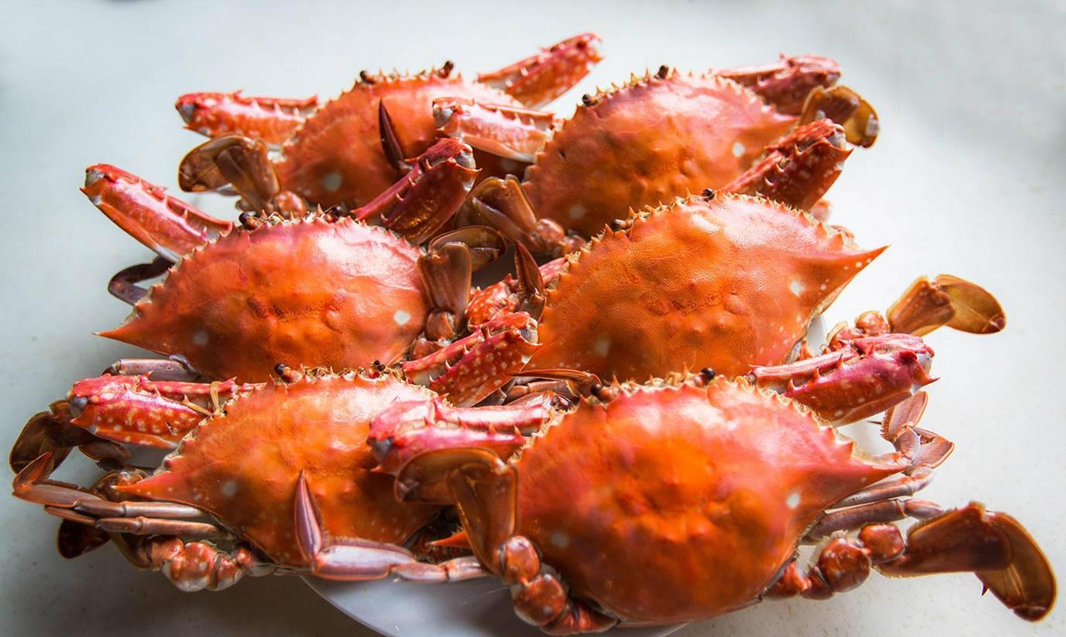 浙江宁波慈溪,以海鲜菜为主.