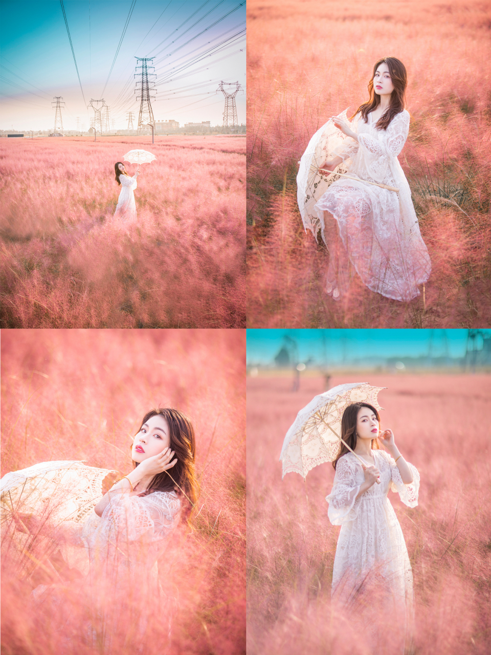 去狼垡公园最初是为了拍粉黛子 当然也如愿拍到非常美腻的一片 但是到