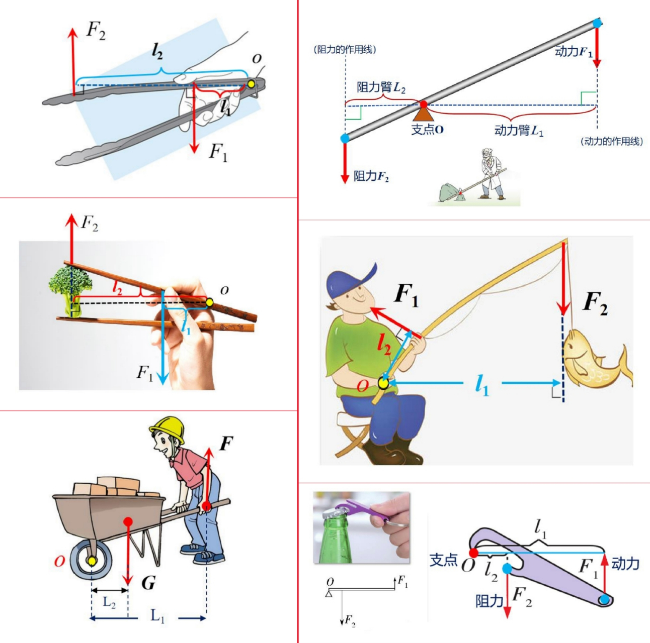 初二物理杠杆画图讲解图片