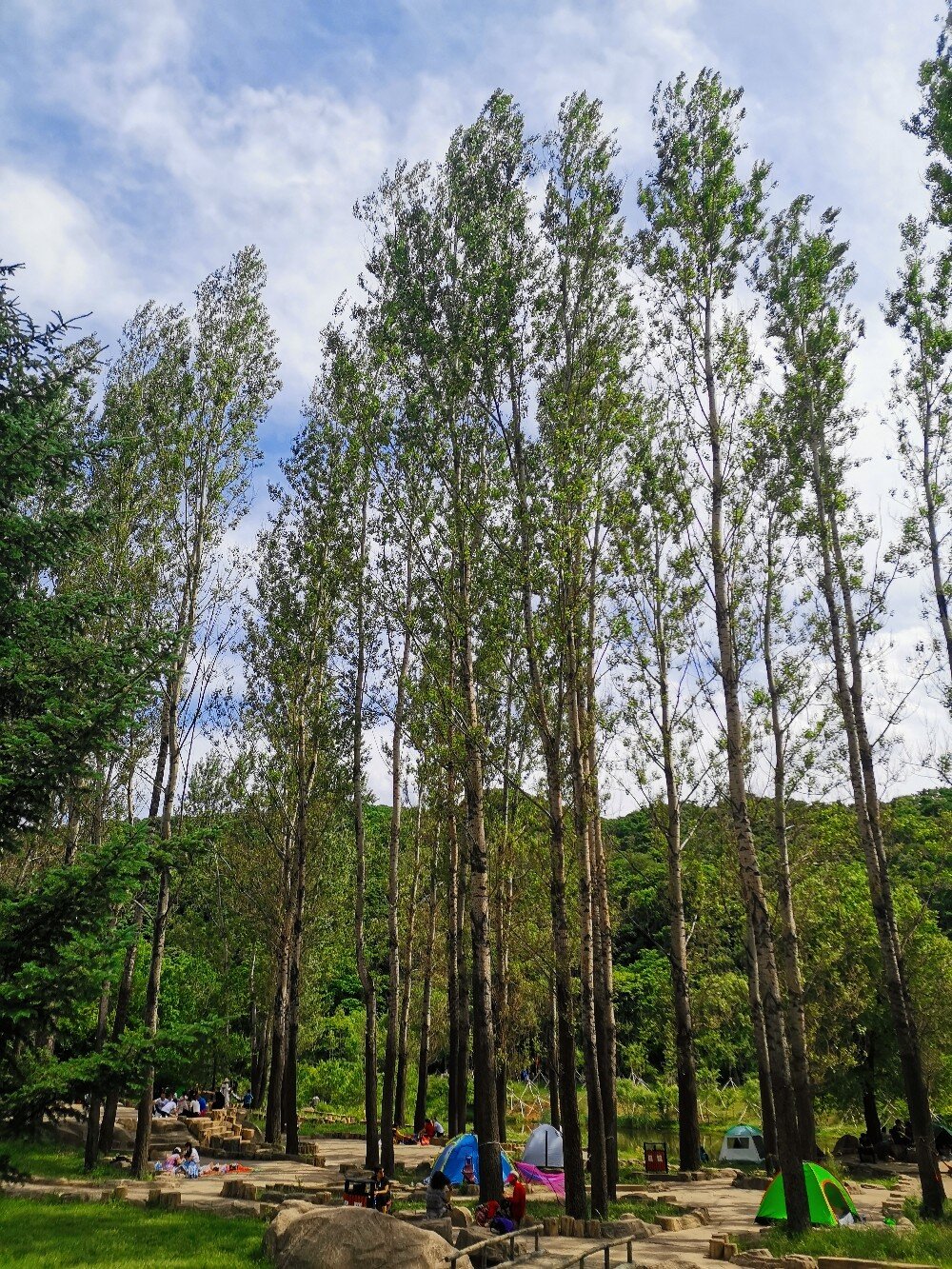 哈尔滨周边爬山 | 长寿山吸吸氧.@美茜骑行的动态