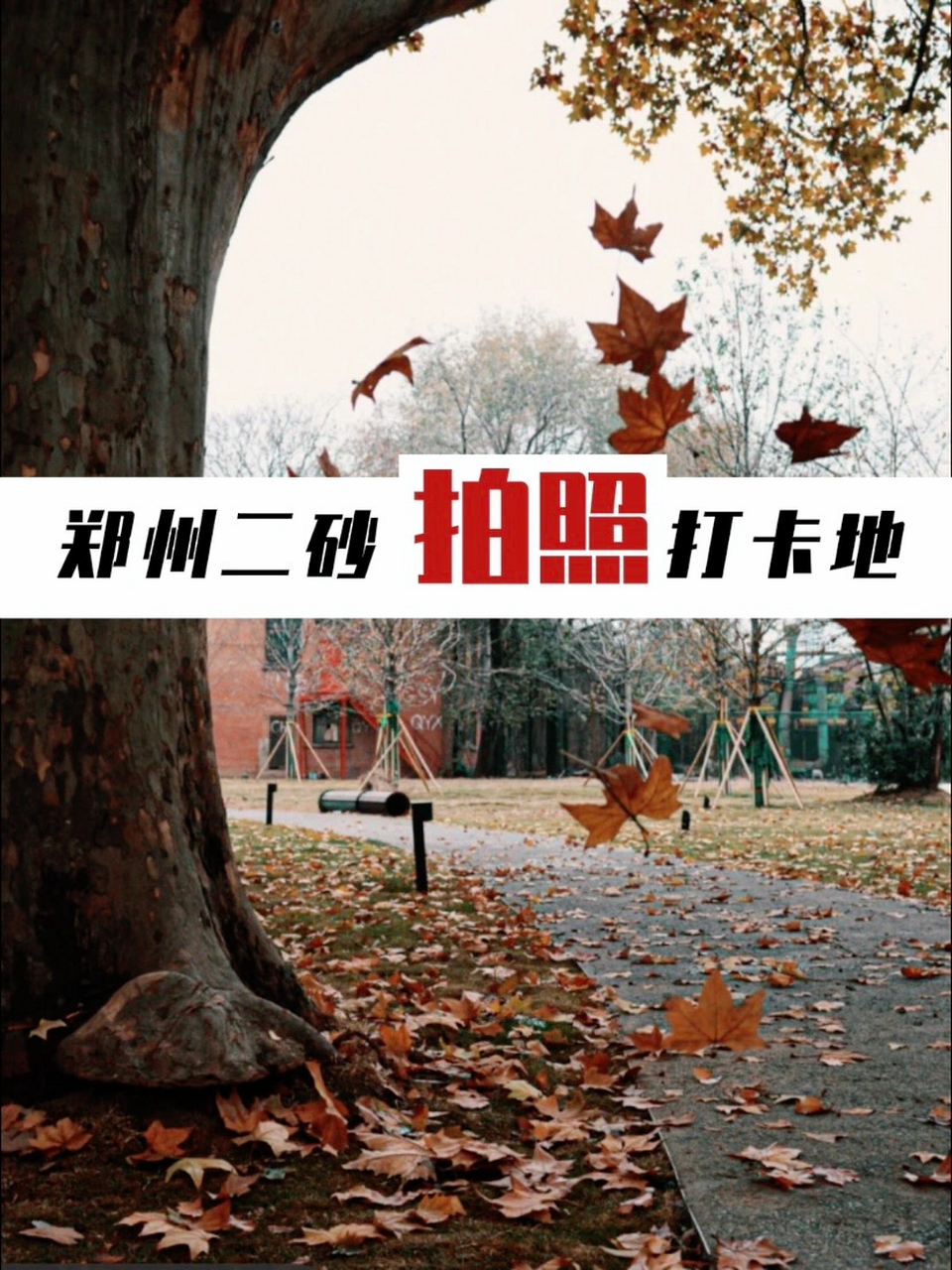 郑州二砂网红拍照打卡地 现在郑州最美打卡地 看这里… 佥当然是二砂