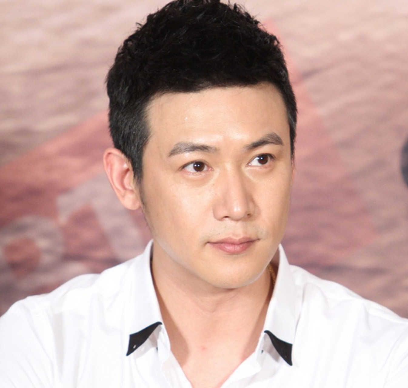 董卿和陆毅真实关系曝光.