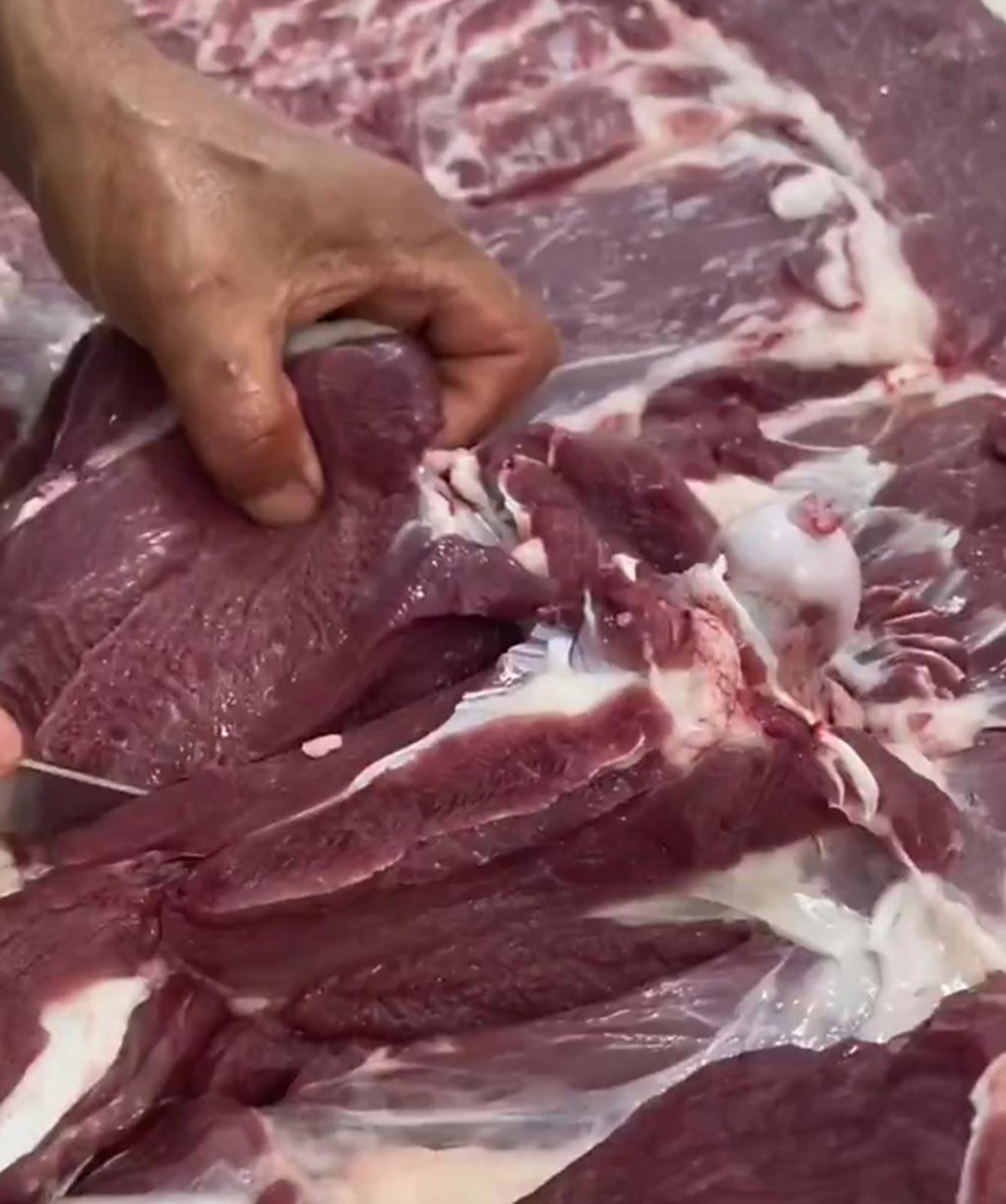 这是老母猪肉吗?母猪肉是不是不好吃?