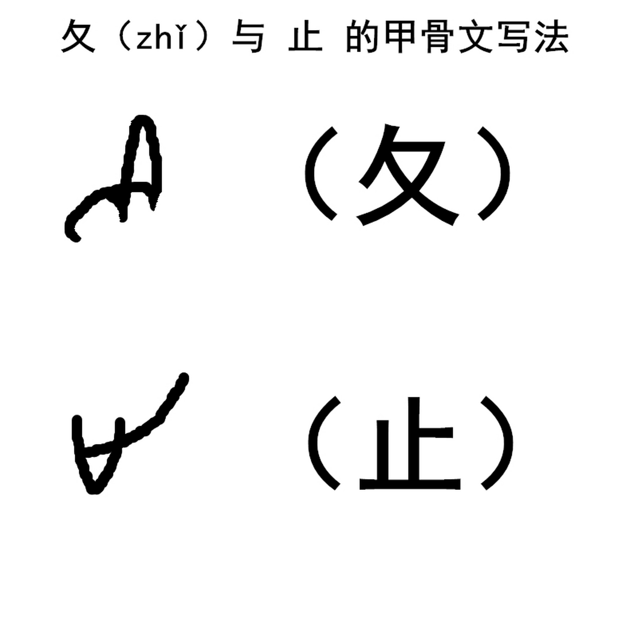 说文解字# "夂",俗称折文儿,这个字其实与"文"字没啥关系,它有两个音