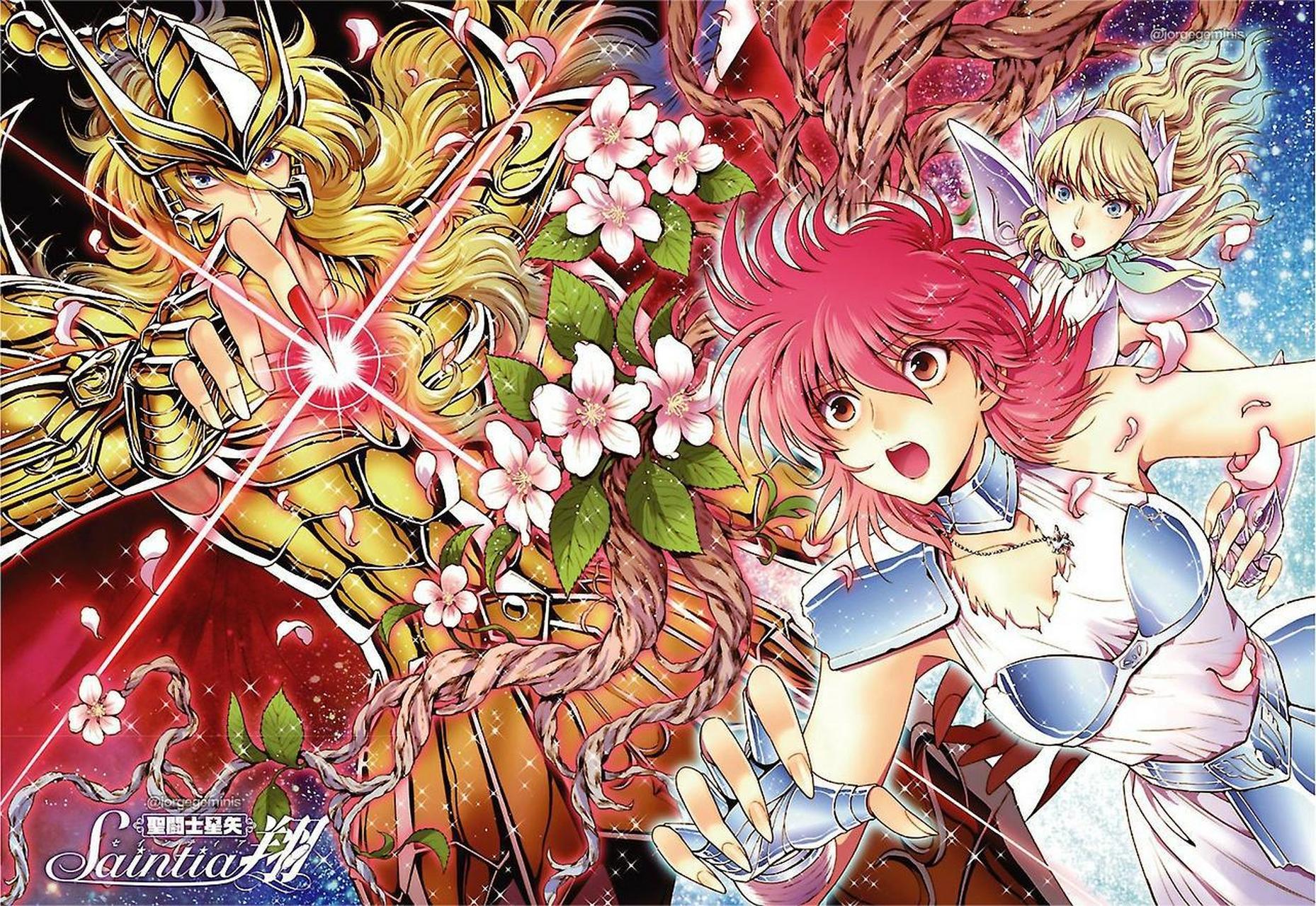 圣斗少女果然是神秘组织,连黄金圣斗士都不知道它的存在#动漫