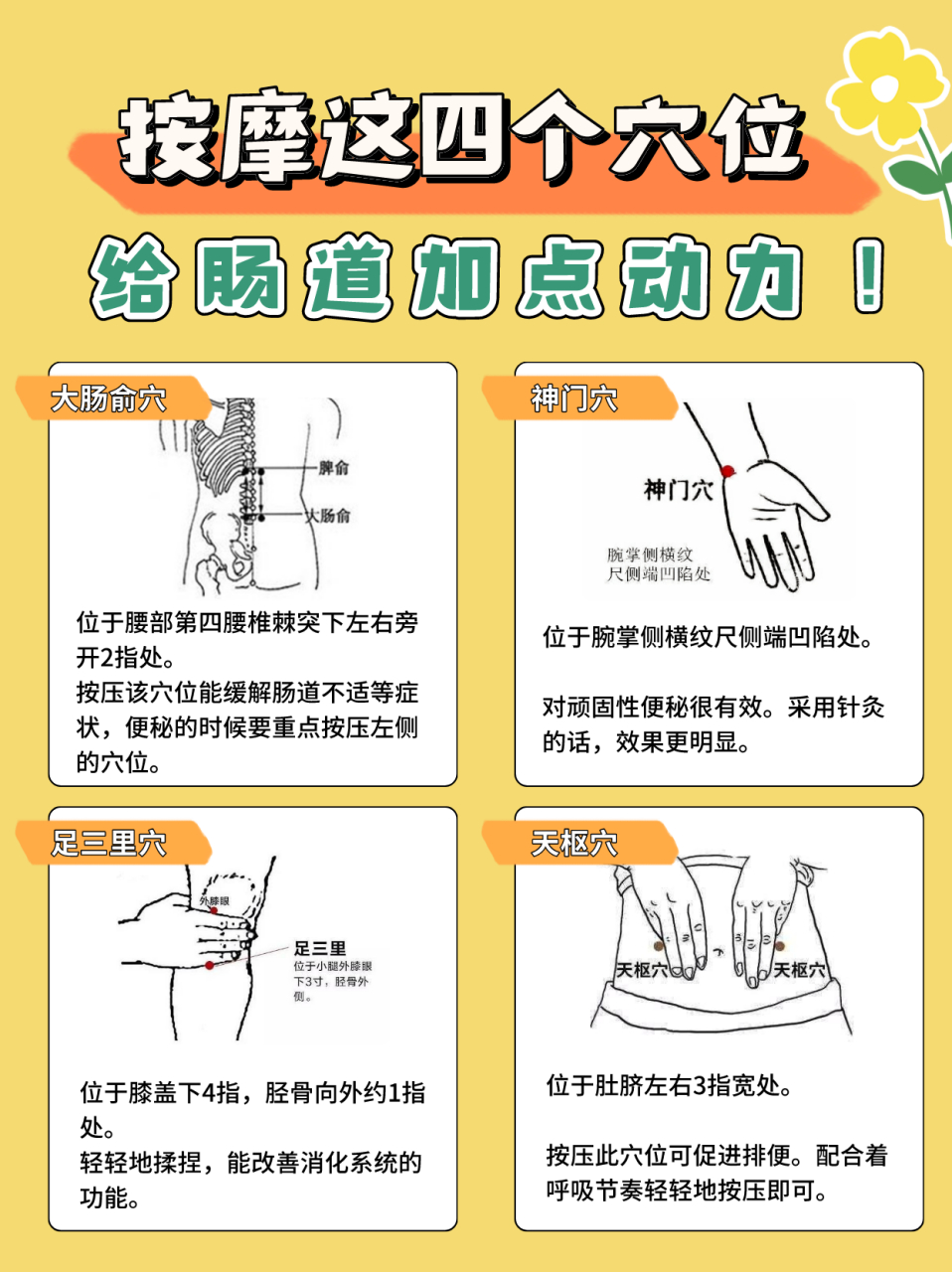 按摩肠道方向示意图图片