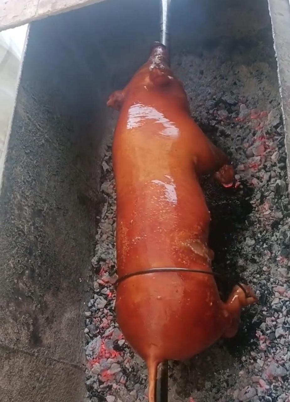烤乳猪就是这么烤得吗?我怎么一点食欲也没有 #搞笑趣味图